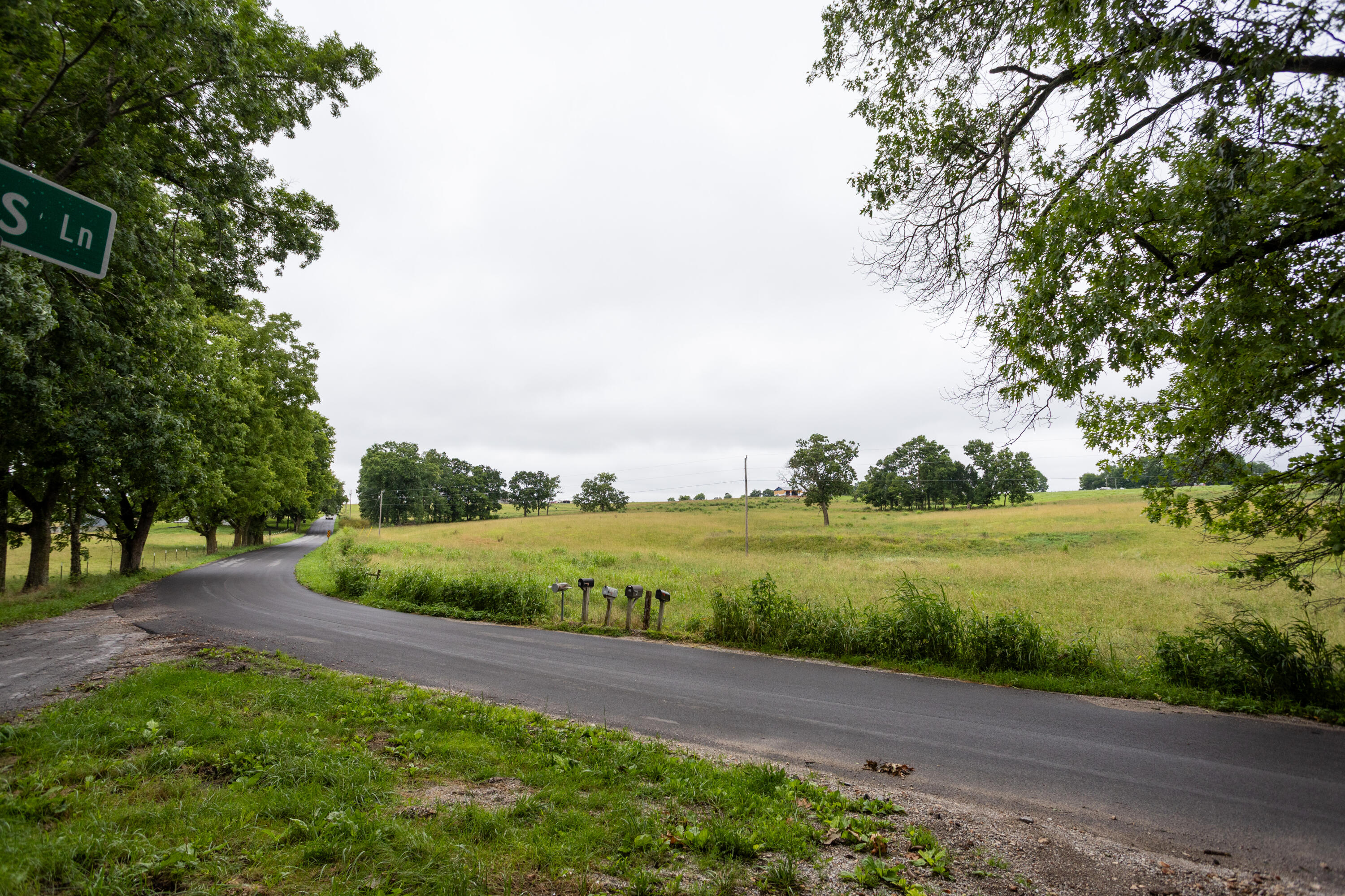 Photo 14 - Land for sale – Tract 3  Fraizer Road  Clever, MO