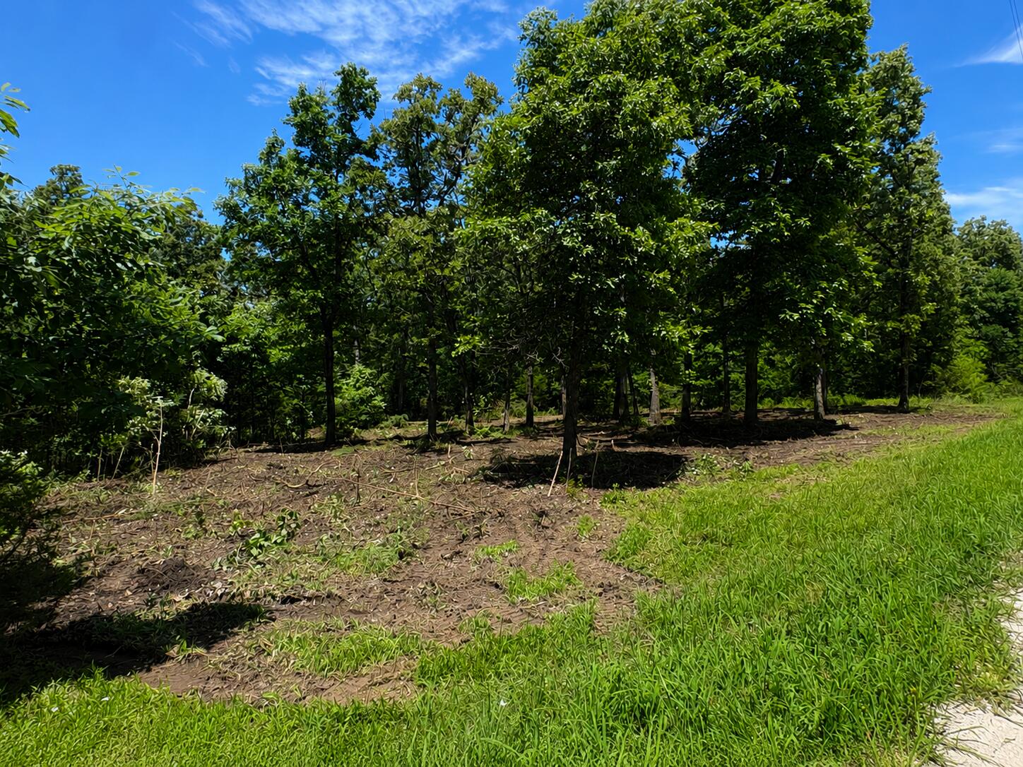 Land for sale – 000  Country Place Drive  Urbana, MO