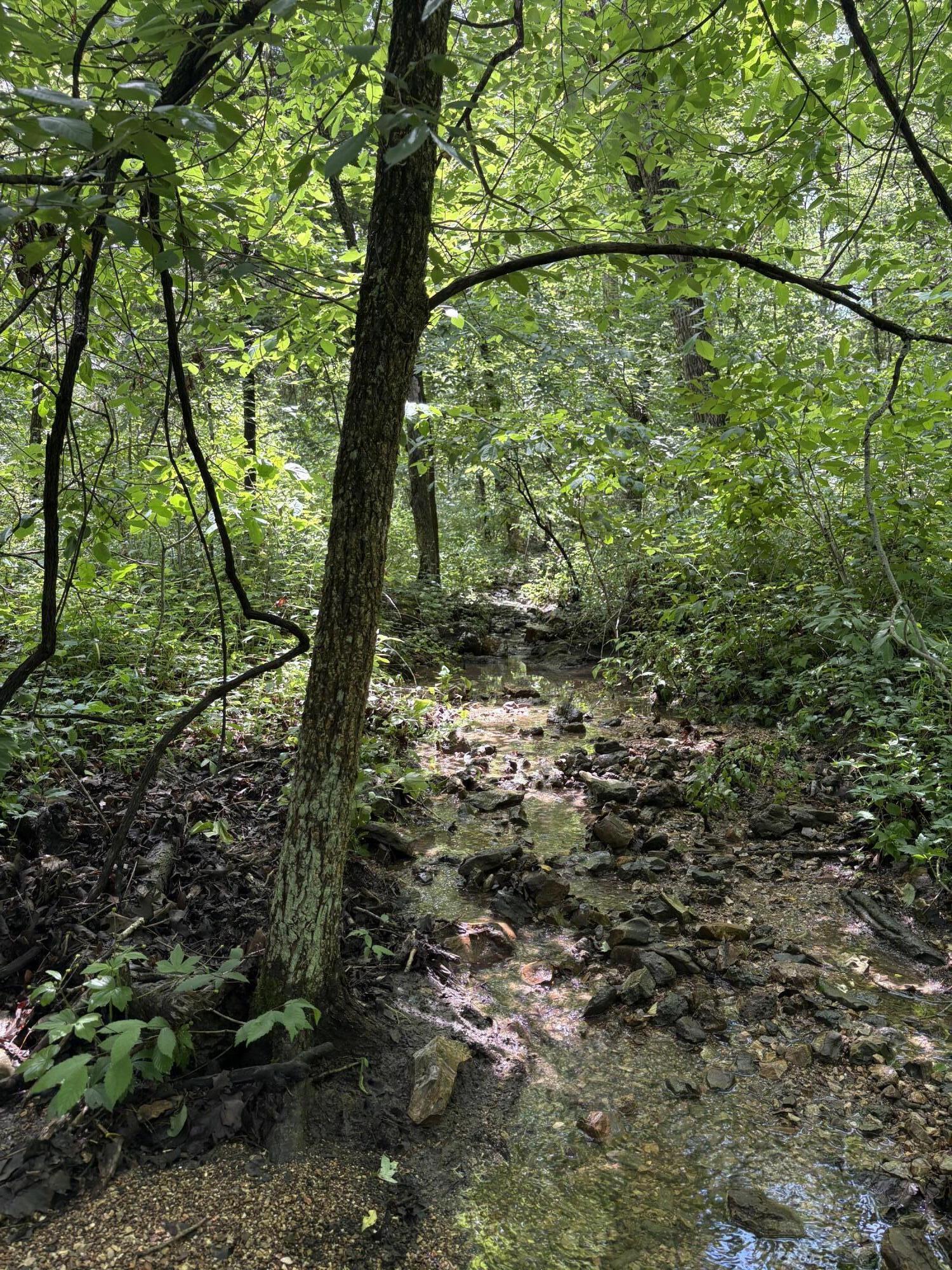 Photo 3 - Land for sale – 000  Country Place Drive  Urbana, MO