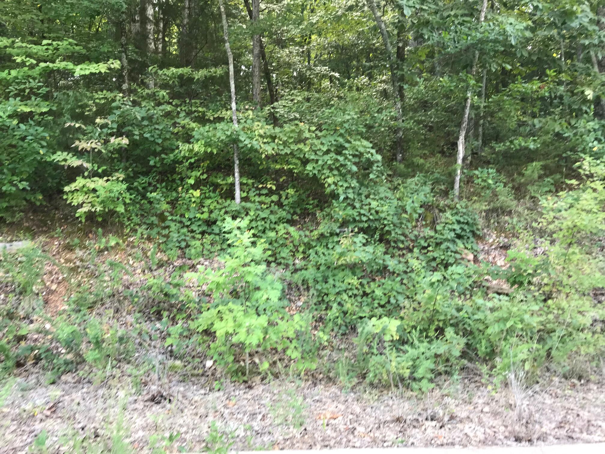 Land for sale – Lot 235 E Crescent   Hollister, MO