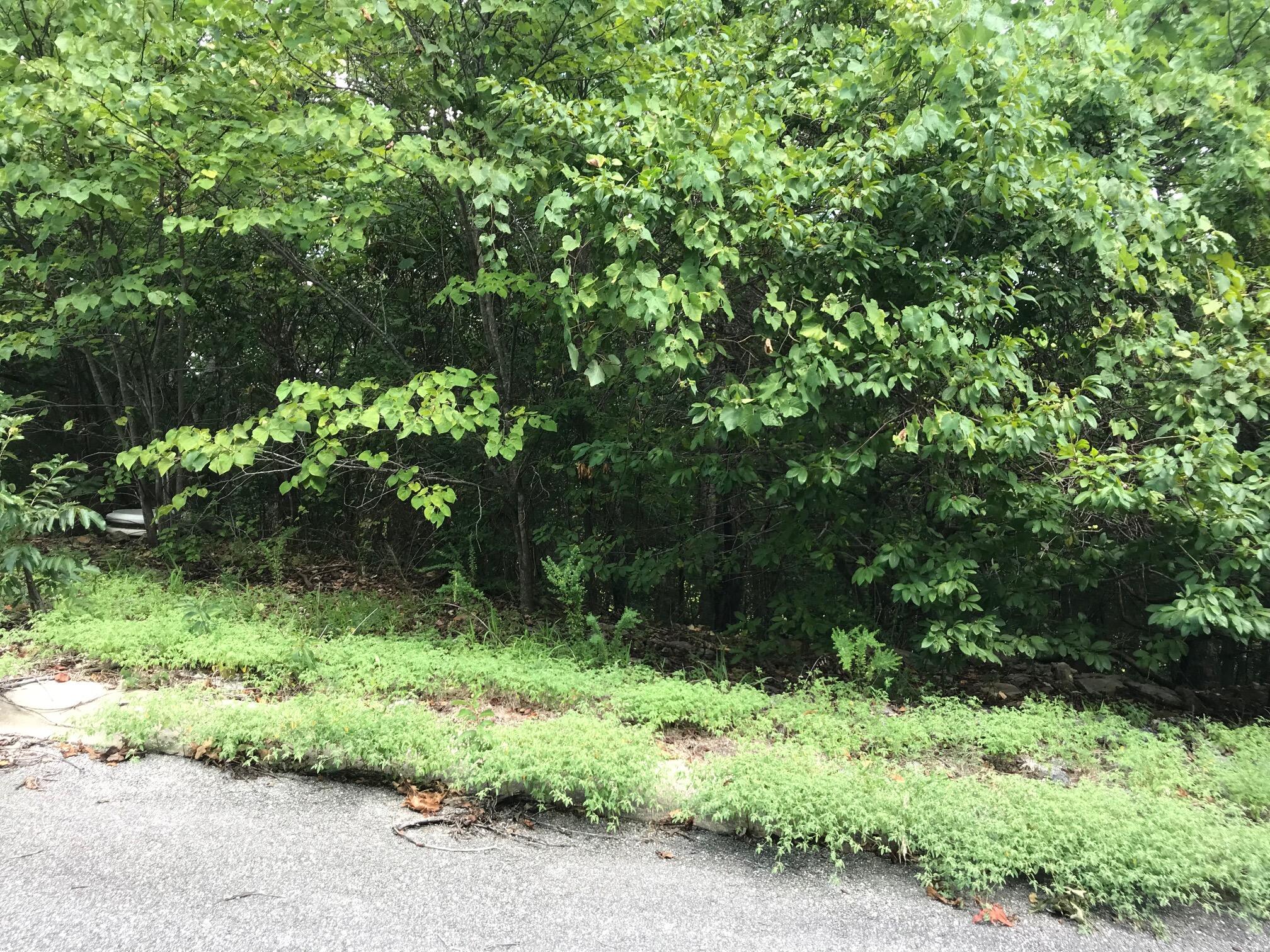 Land for sale – Lot 256  Skylee   Hollister, MO
