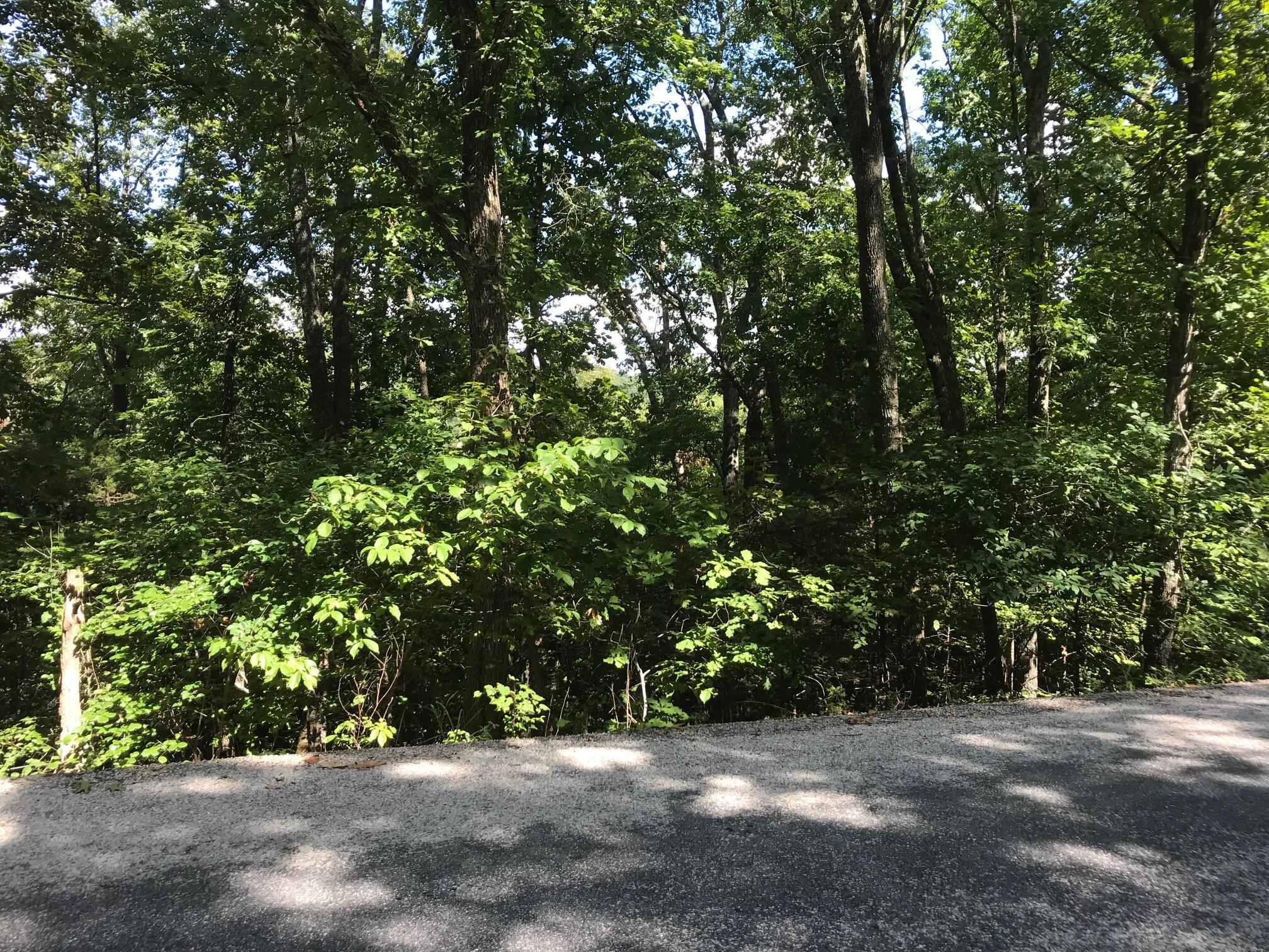 Land for sale – Lot 227  Syler   Hollister, MO