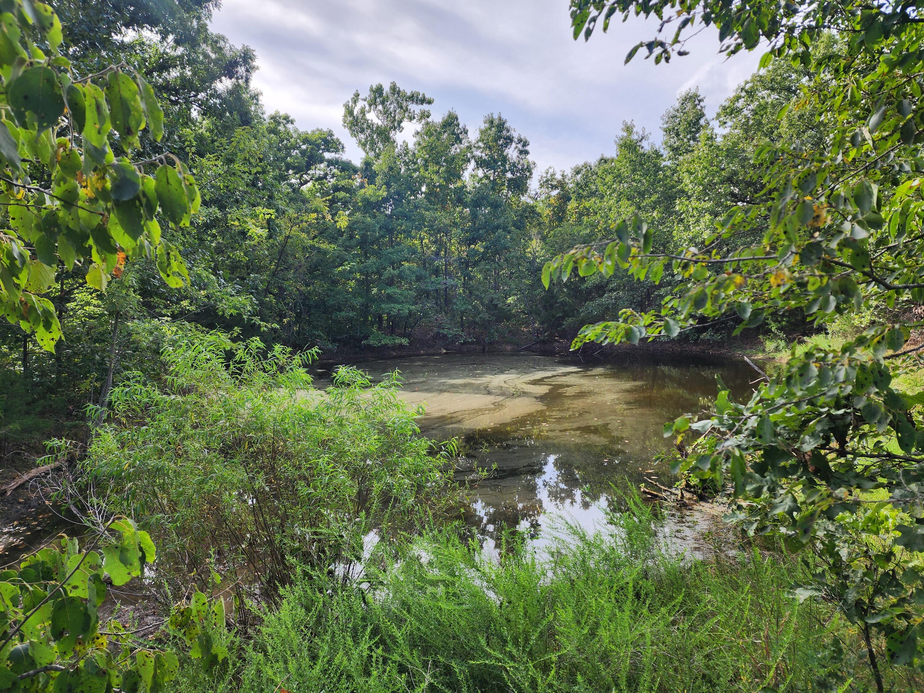 Photo 6 - Land for sale – 24  Yankee Lane  Lebanon, MO