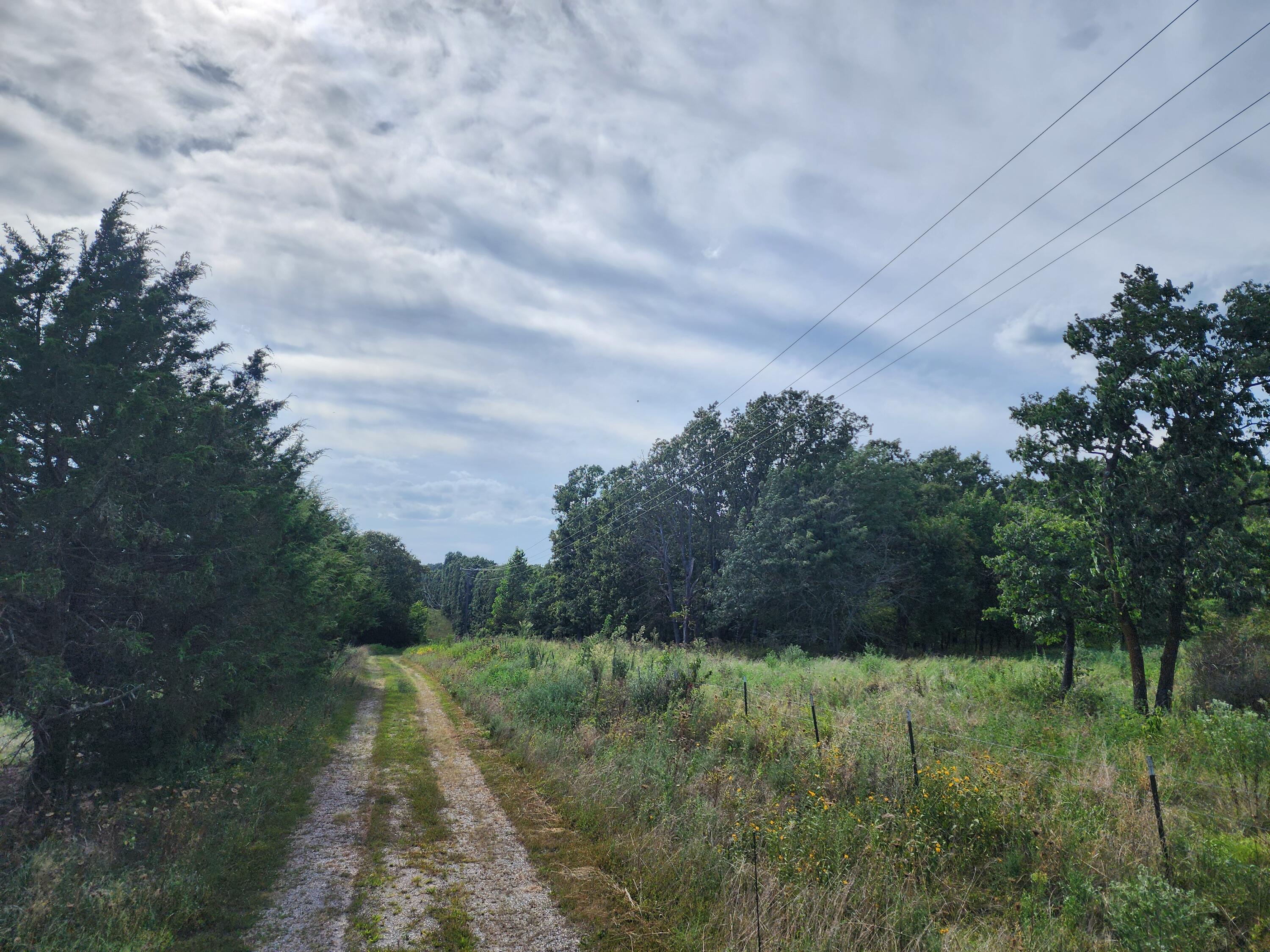 Photo 4 - Land for sale – 24  Yankee Lane  Lebanon, MO