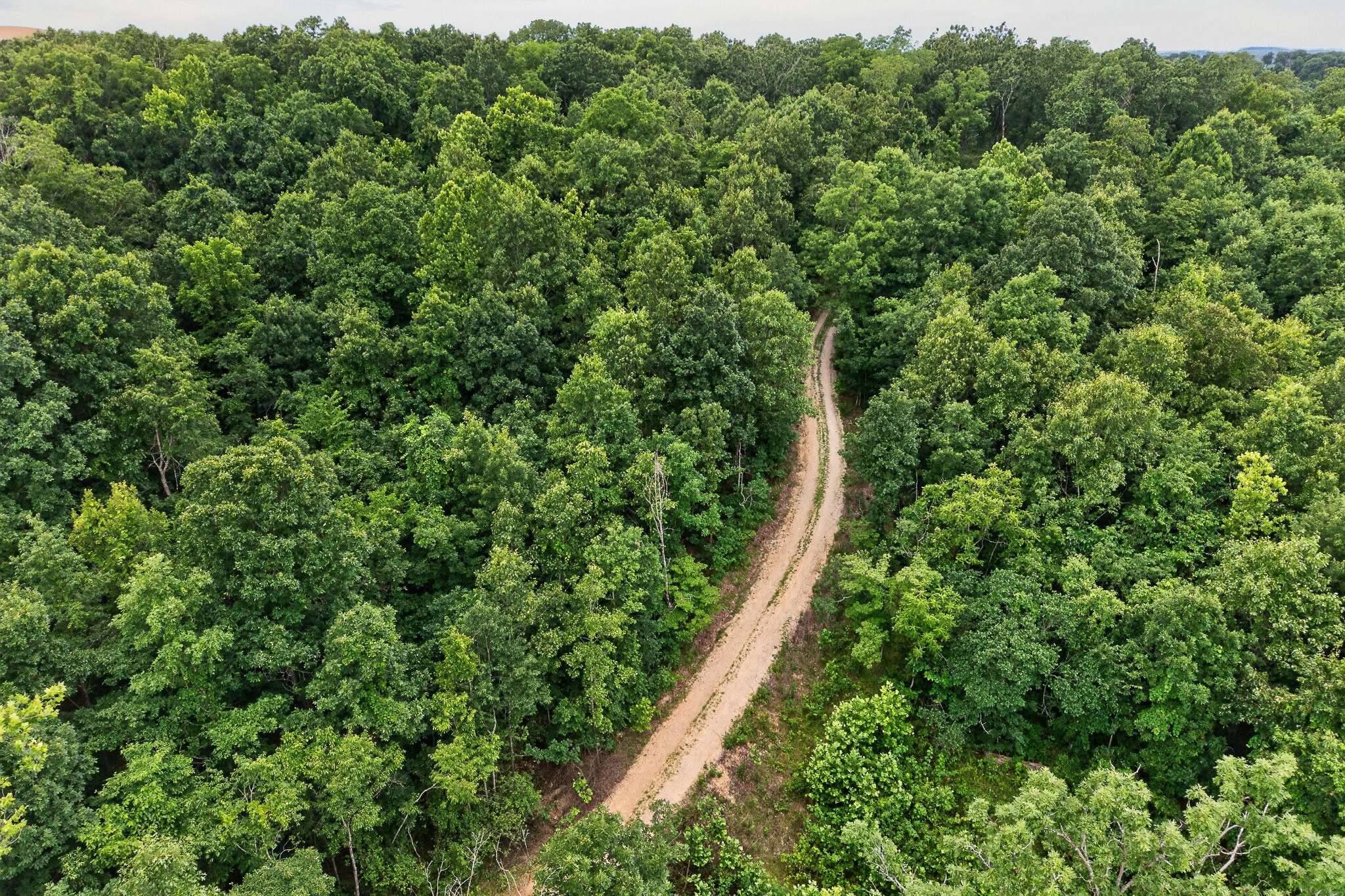 Photo 80 - Residential for sale – 5500  Hardrock Road  Hartville, MO