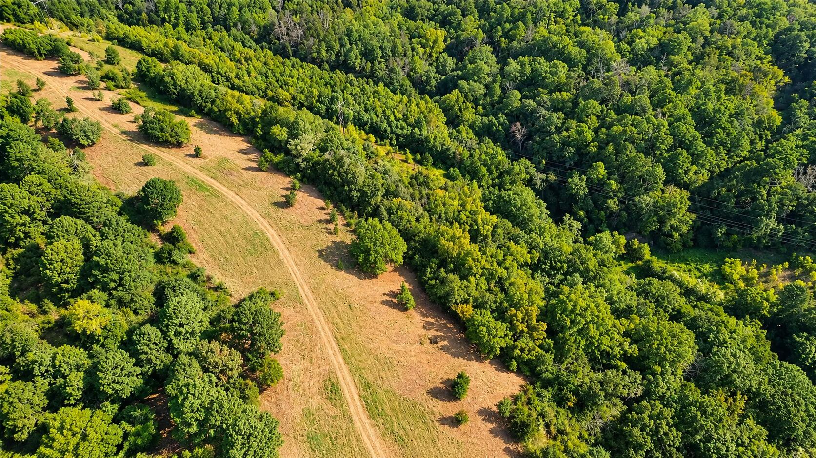Photo 16 - Farm for sale – 1029  Bear Hollow Road  Pineville, MO