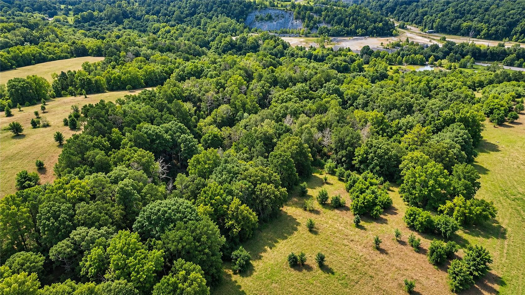 Photo 10 - Farm for sale – 1029  Bear Hollow Road  Pineville, MO