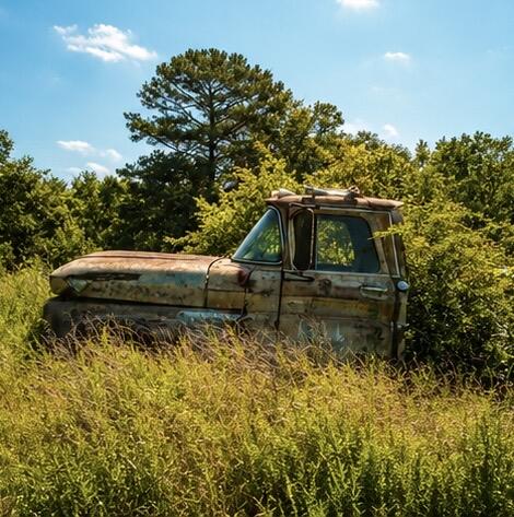 Photo 7 - Farm for sale – 1029  Bear Hollow Road  Pineville, MO