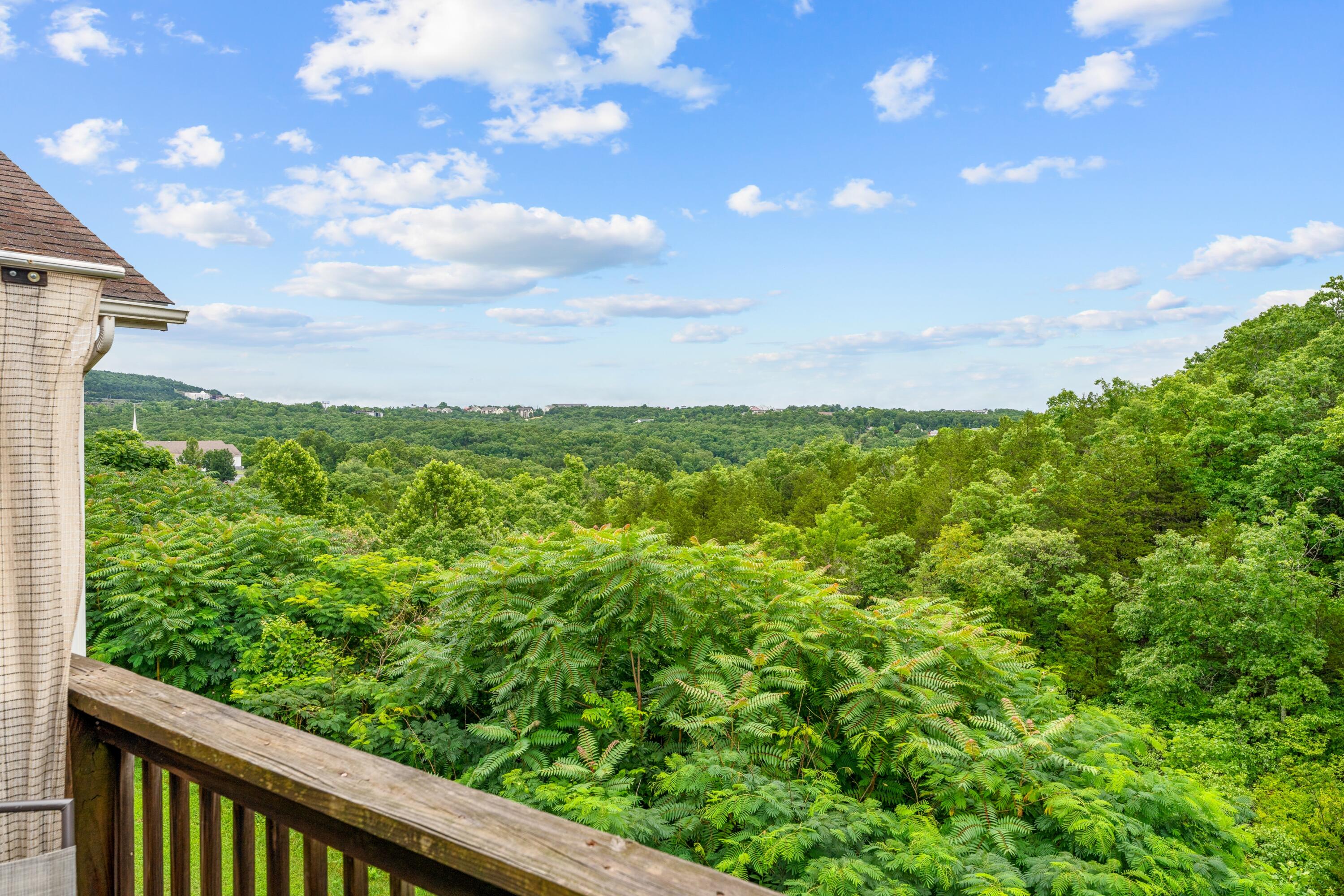 Photo 20 - Residential for sale – 2919  Vineyards Parkway  Branson, MO