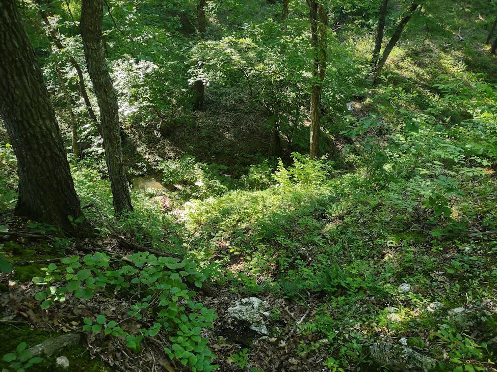 Photo 10 - Land for sale – 36501  Mohave Drive  Eldridge, MO