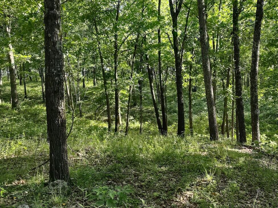 Photo 2 - Land for sale – 36501  Mohave Drive  Eldridge, MO