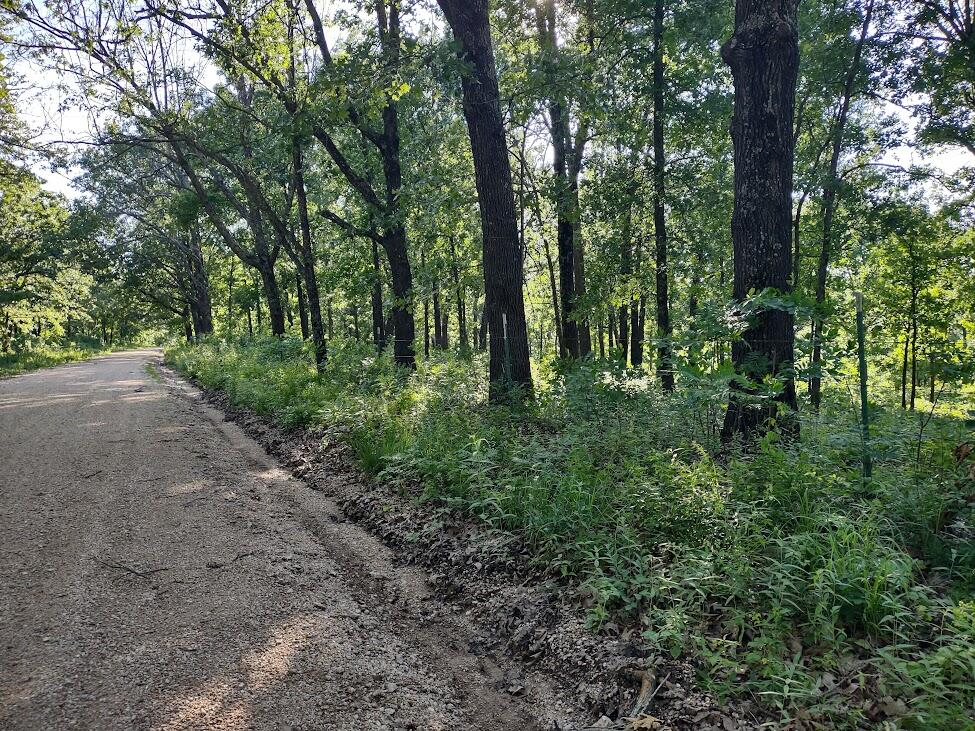 Photo 5 - Land for sale – 36501  Mohave Drive  Eldridge, MO