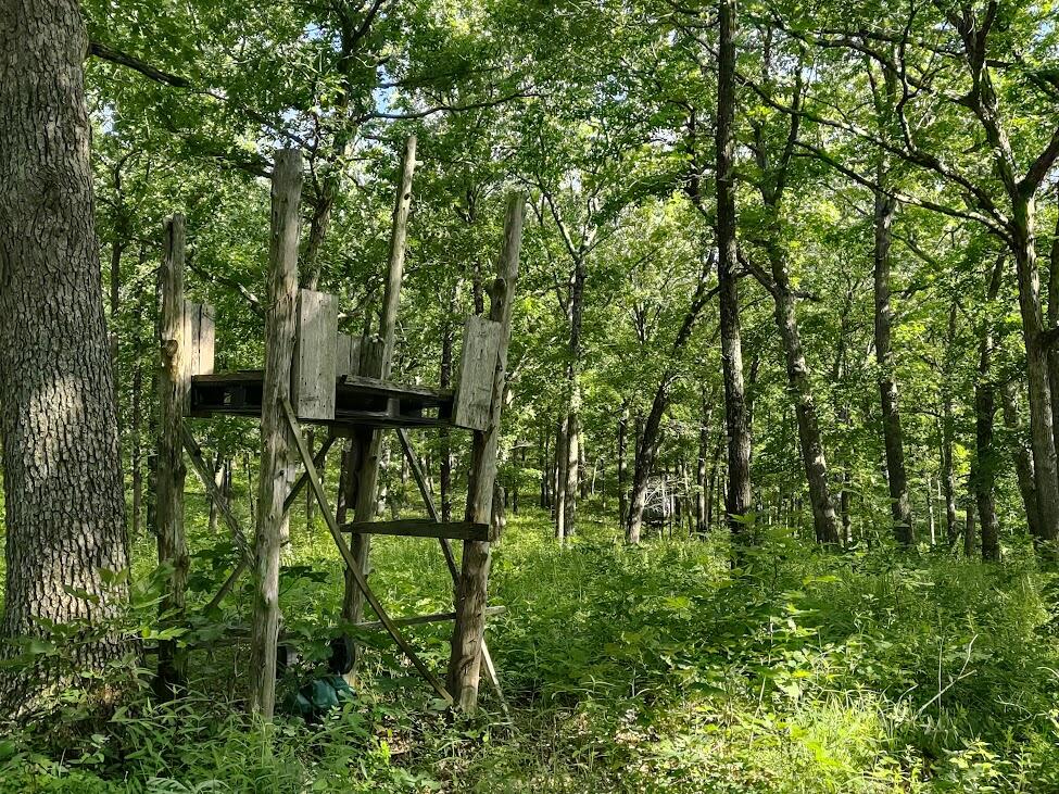 Photo 9 - Land for sale – 36501  Mohave Drive  Eldridge, MO