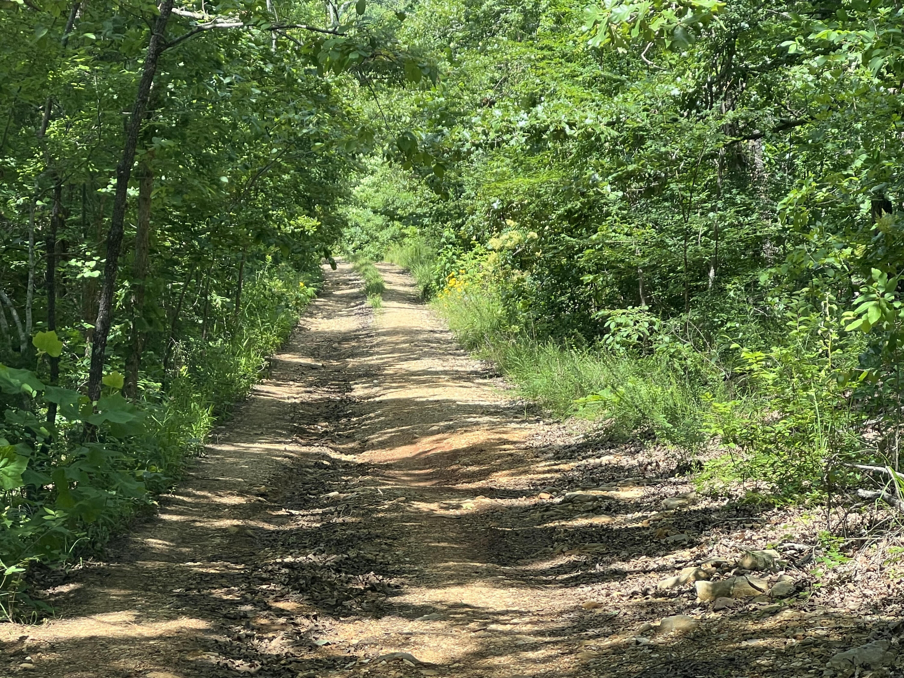 Photo 5 - Land for sale – 000  Pr Off Ridge Haven   Mammoth Spring, AR