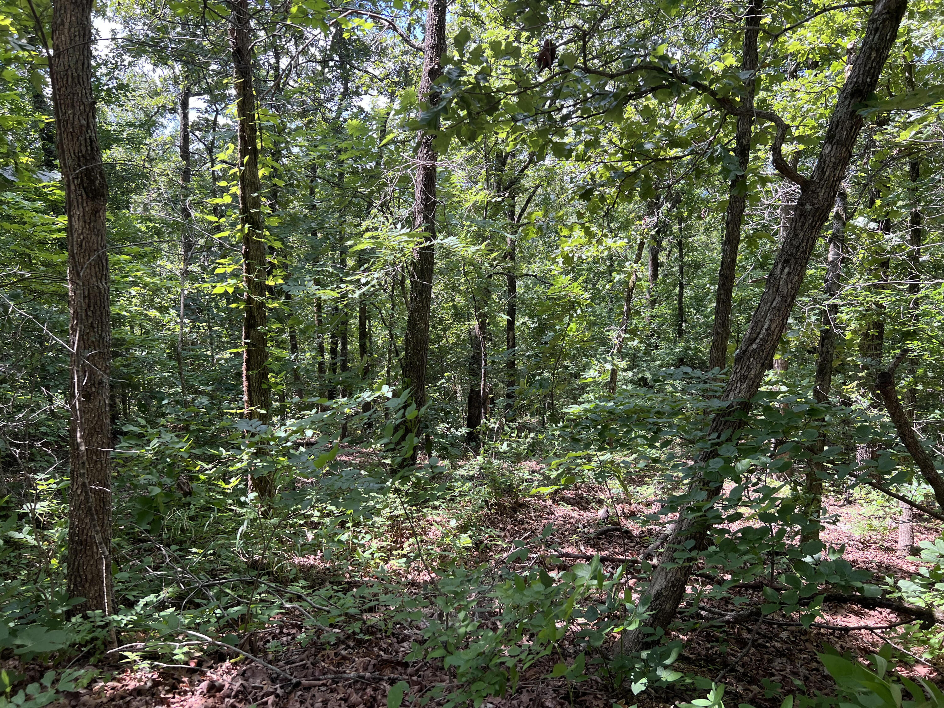 Land for sale – 000  Pr Off Ridge Haven   Mammoth Spring, AR