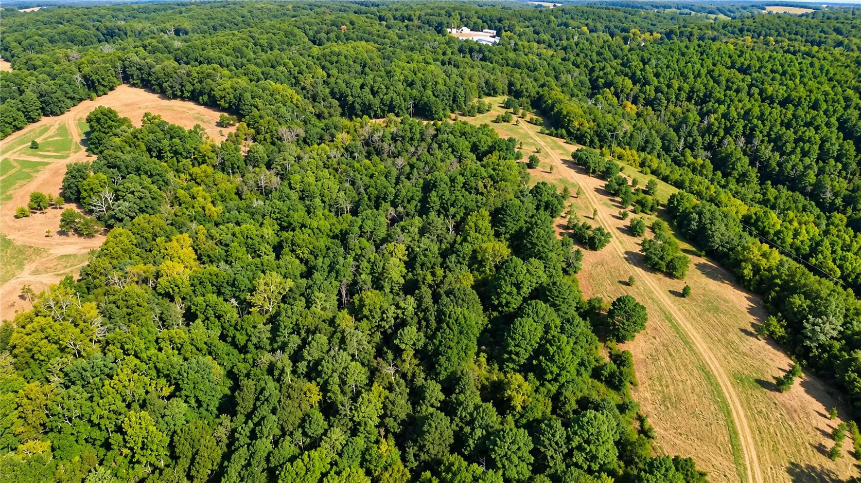 Photo 14 - Land for sale – 1029  Bear Hollow Road  Pineville, MO