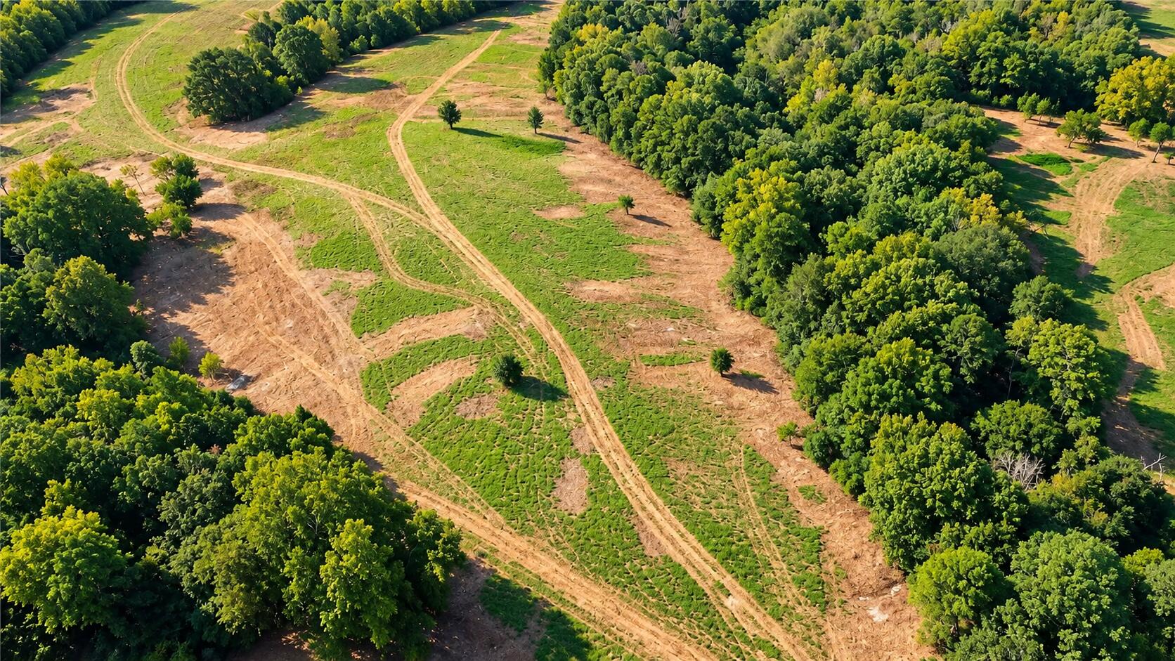 Photo 19 - Land for sale – 1029  Bear Hollow Road  Pineville, MO