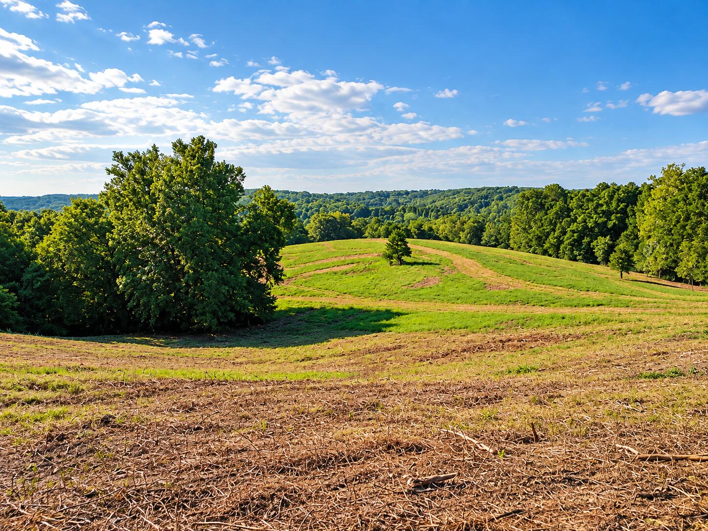 Photo 18 - Land for sale – 1029  Bear Hollow Road  Pineville, MO