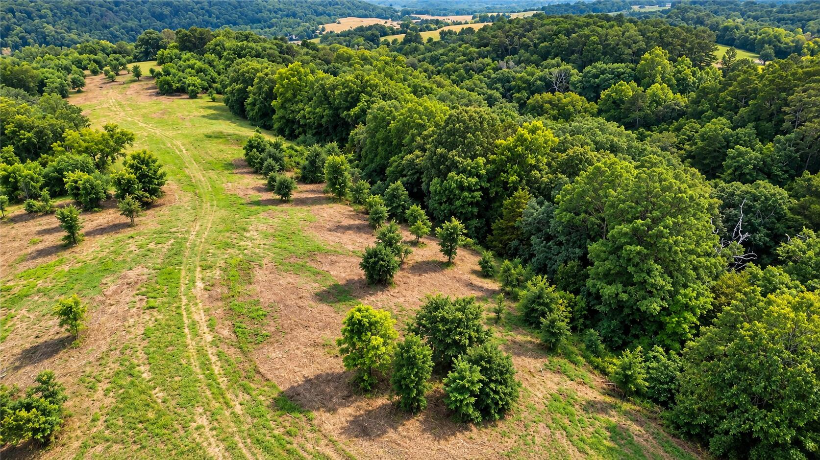 Photo 16 - Land for sale – 1029  Bear Hollow Road  Pineville, MO