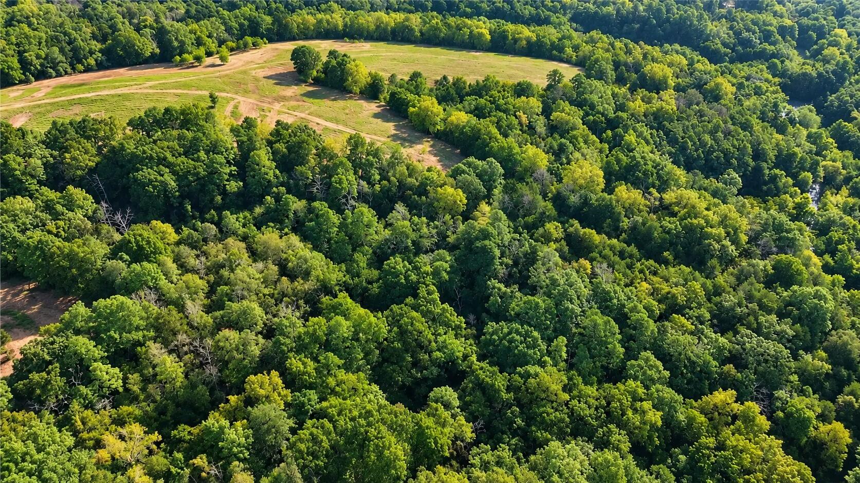Photo 15 - Land for sale – 1029  Bear Hollow Road  Pineville, MO