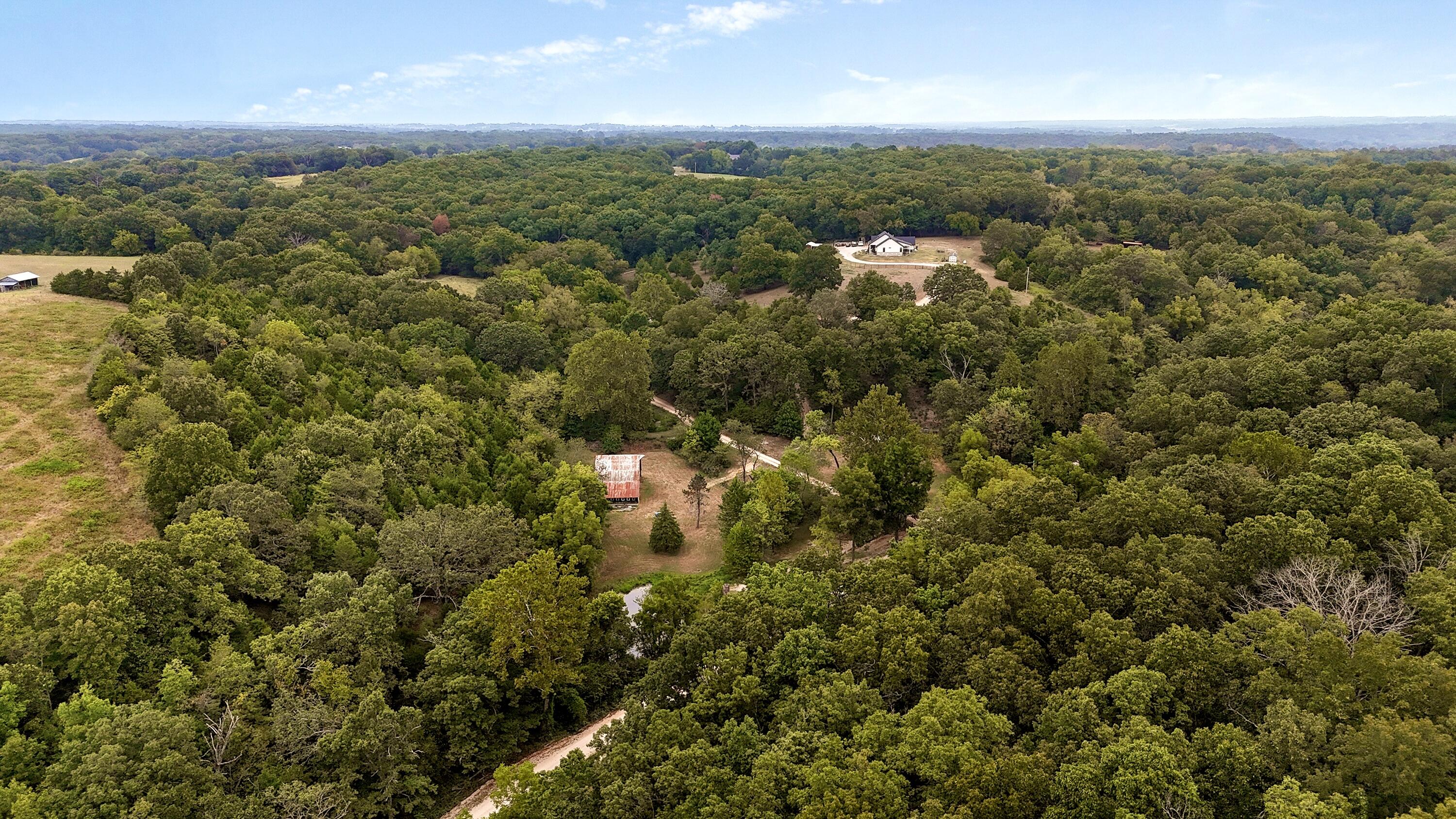Photo 10 - Residential for sale – 411/425  Lake Branch Road  Clever, MO