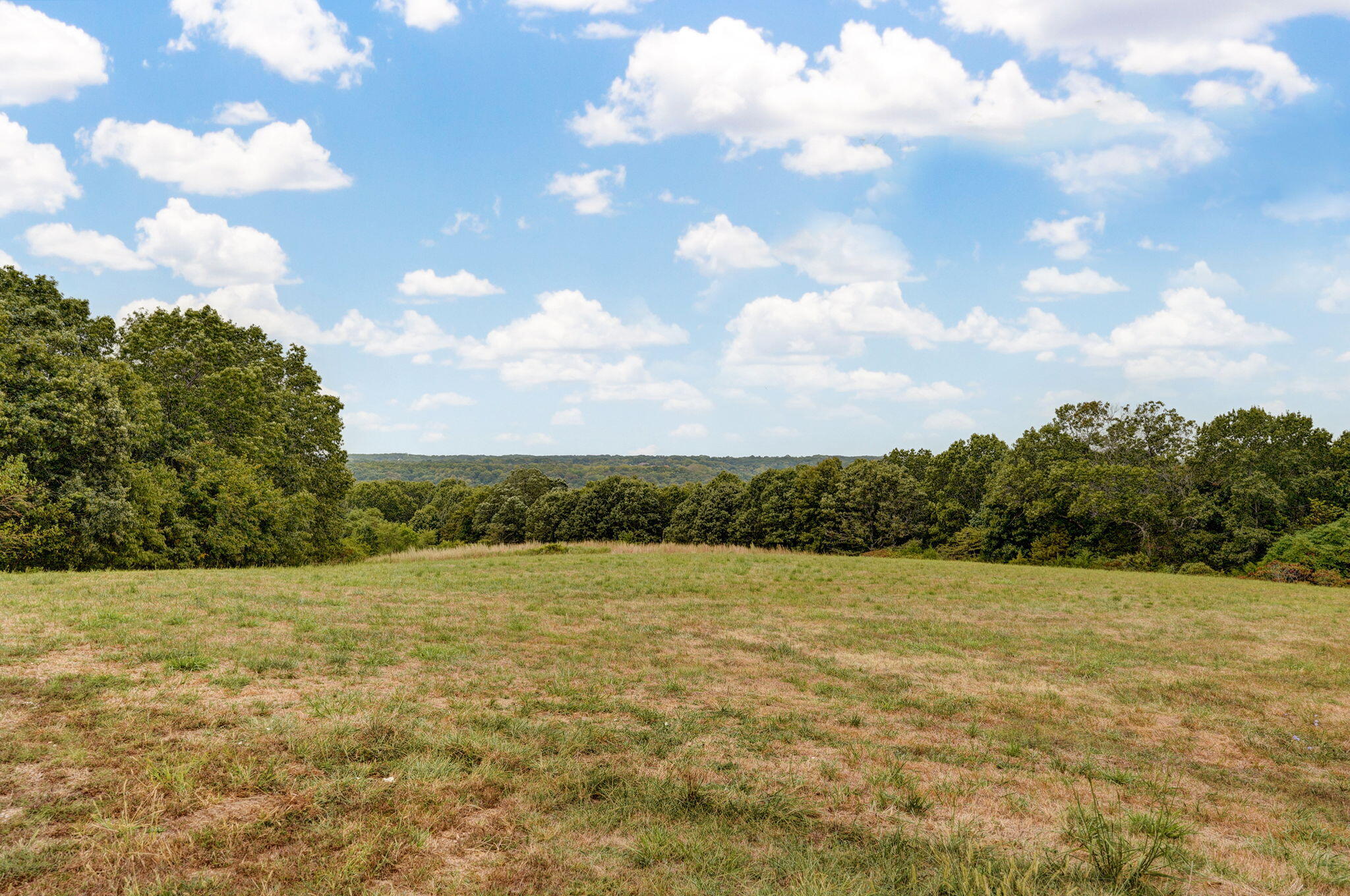Photo 73 - Residential for sale – 411/425  Lake Branch Road  Clever, MO