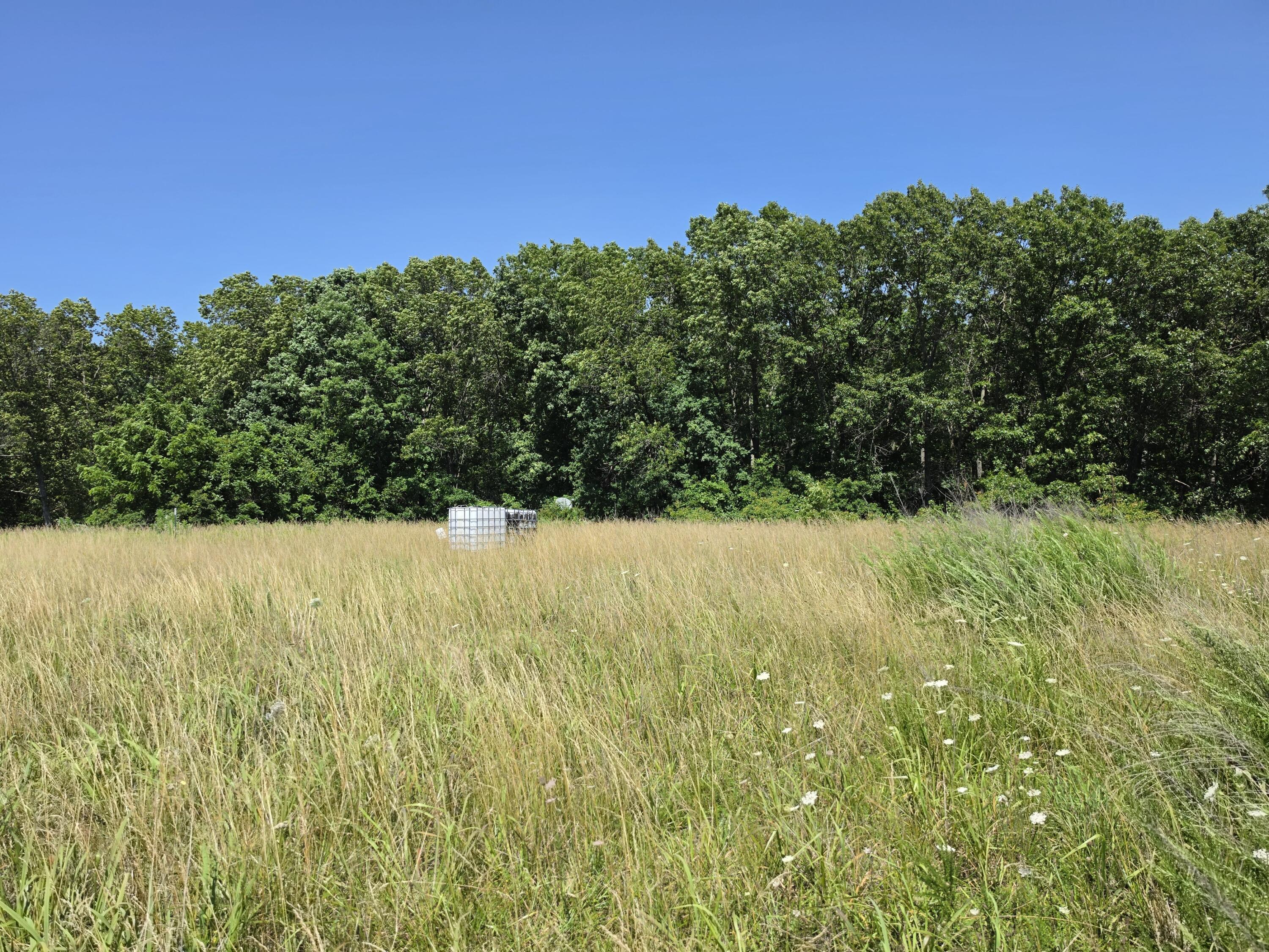 Photo 2 - Land for sale – 404  State Highway Kk   Fordland, MO