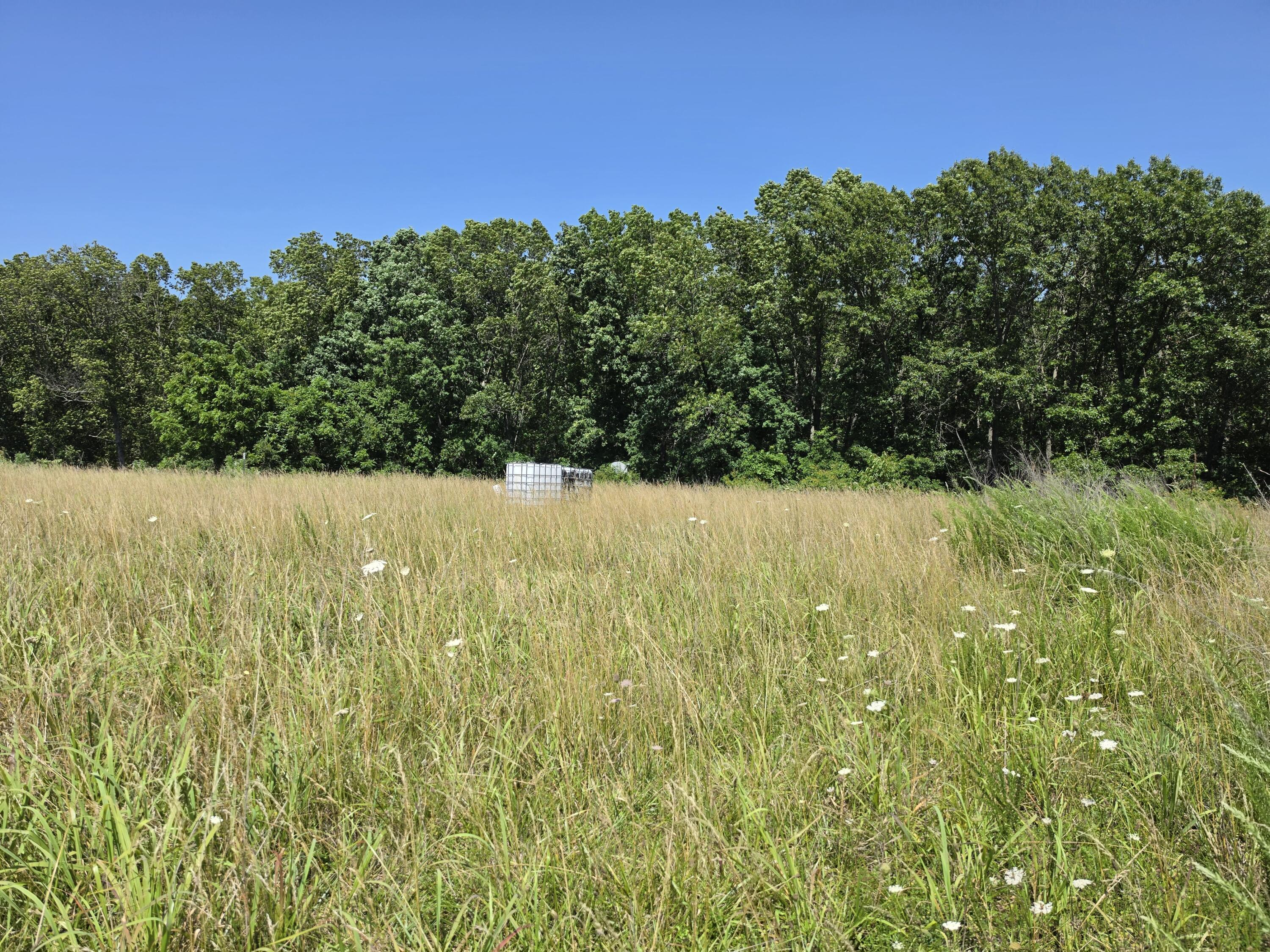 Land for sale – 404  State Highway Kk   Fordland, MO