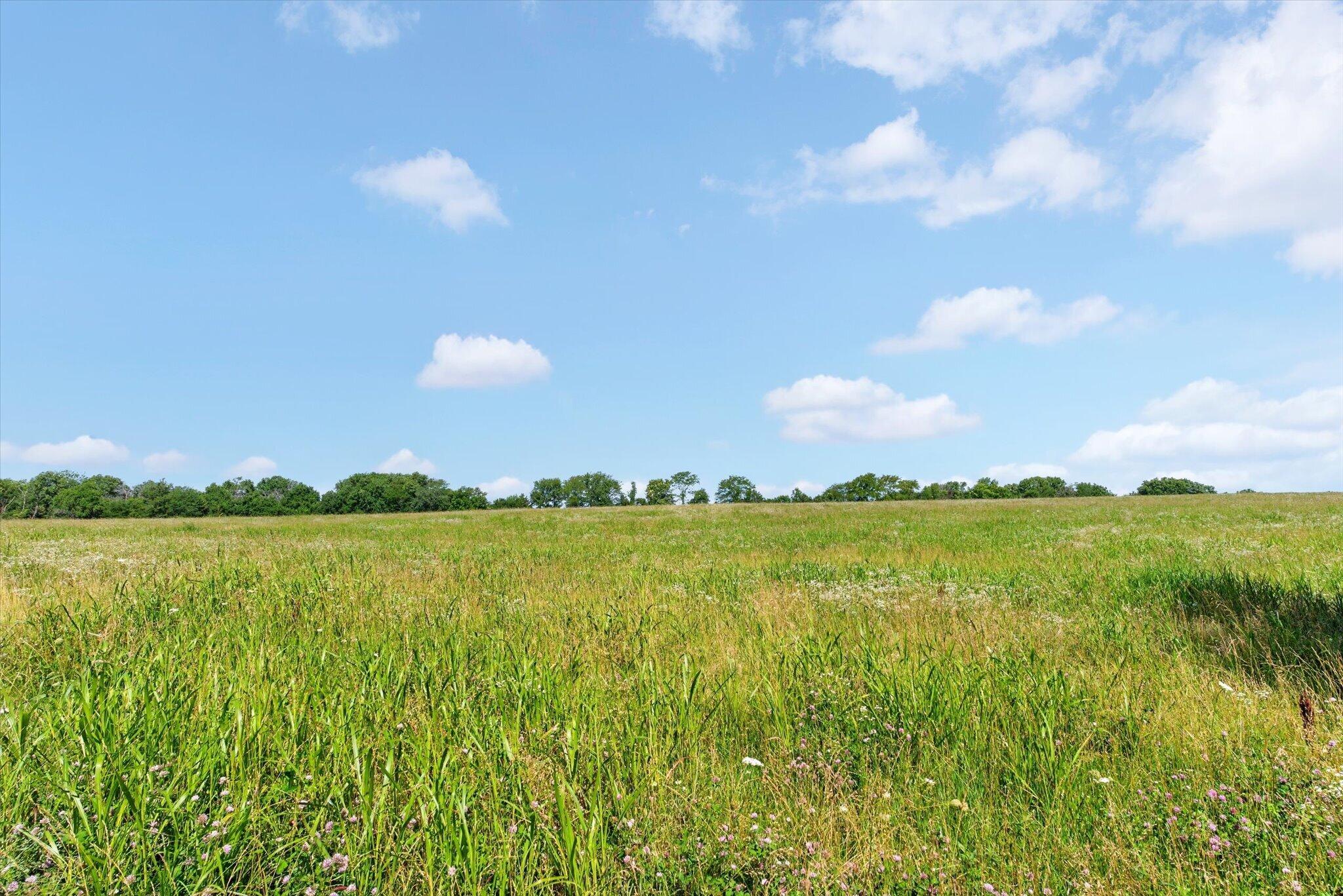 Photo 46 - Farm for sale – 13025 E Highway 32   Stockton, MO