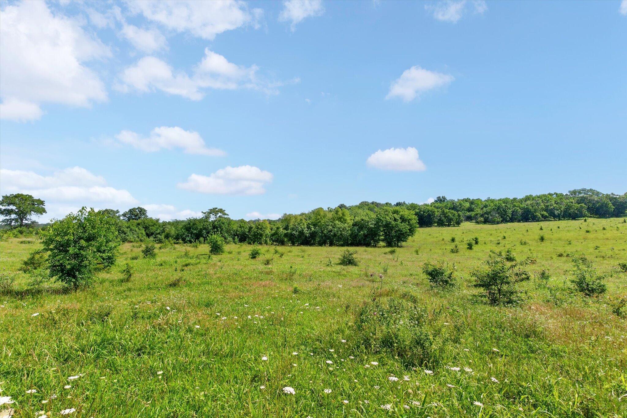 Photo 54 - Farm for sale – 13025 E Highway 32   Stockton, MO