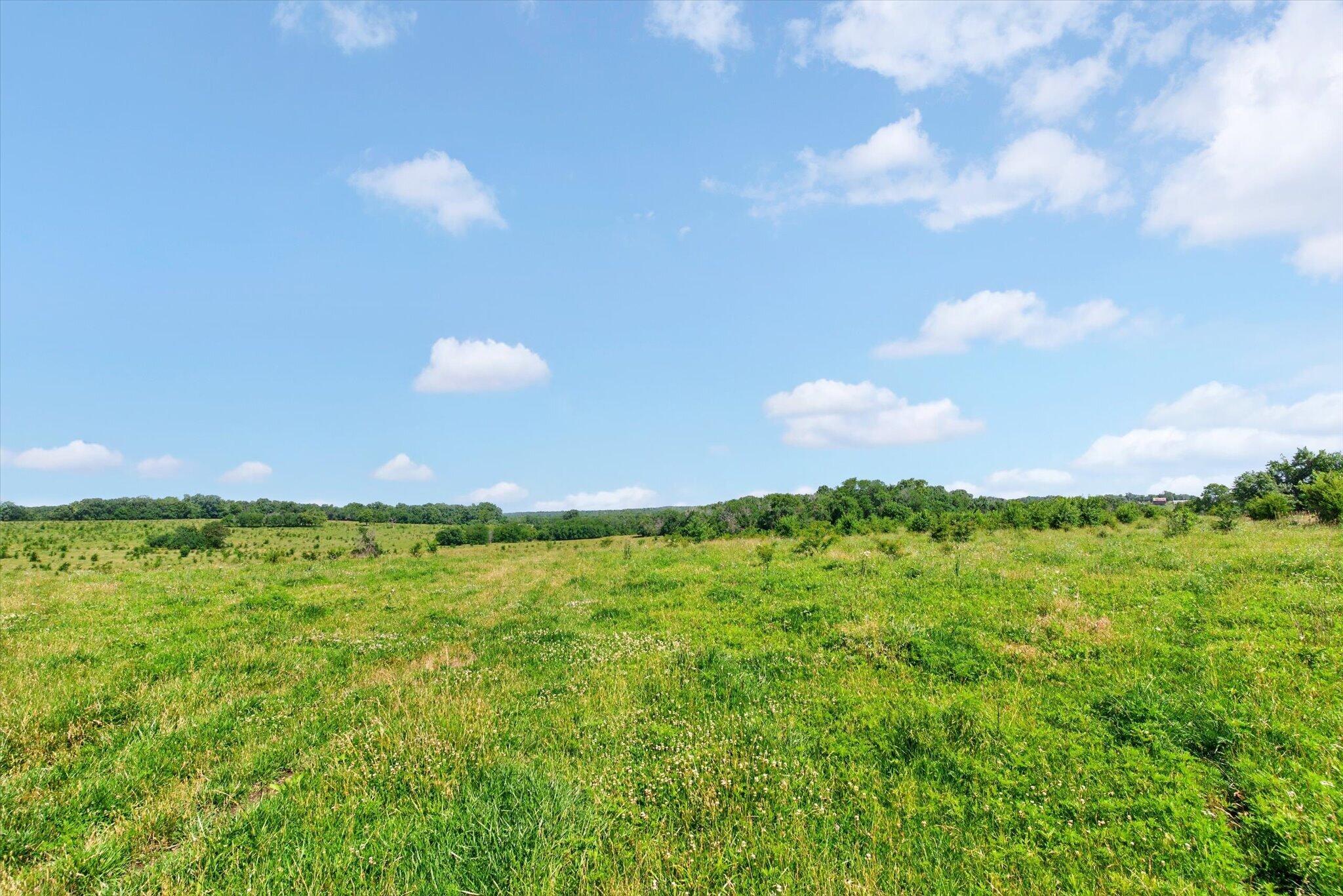 Photo 52 - Farm for sale – 13025 E Highway 32   Stockton, MO