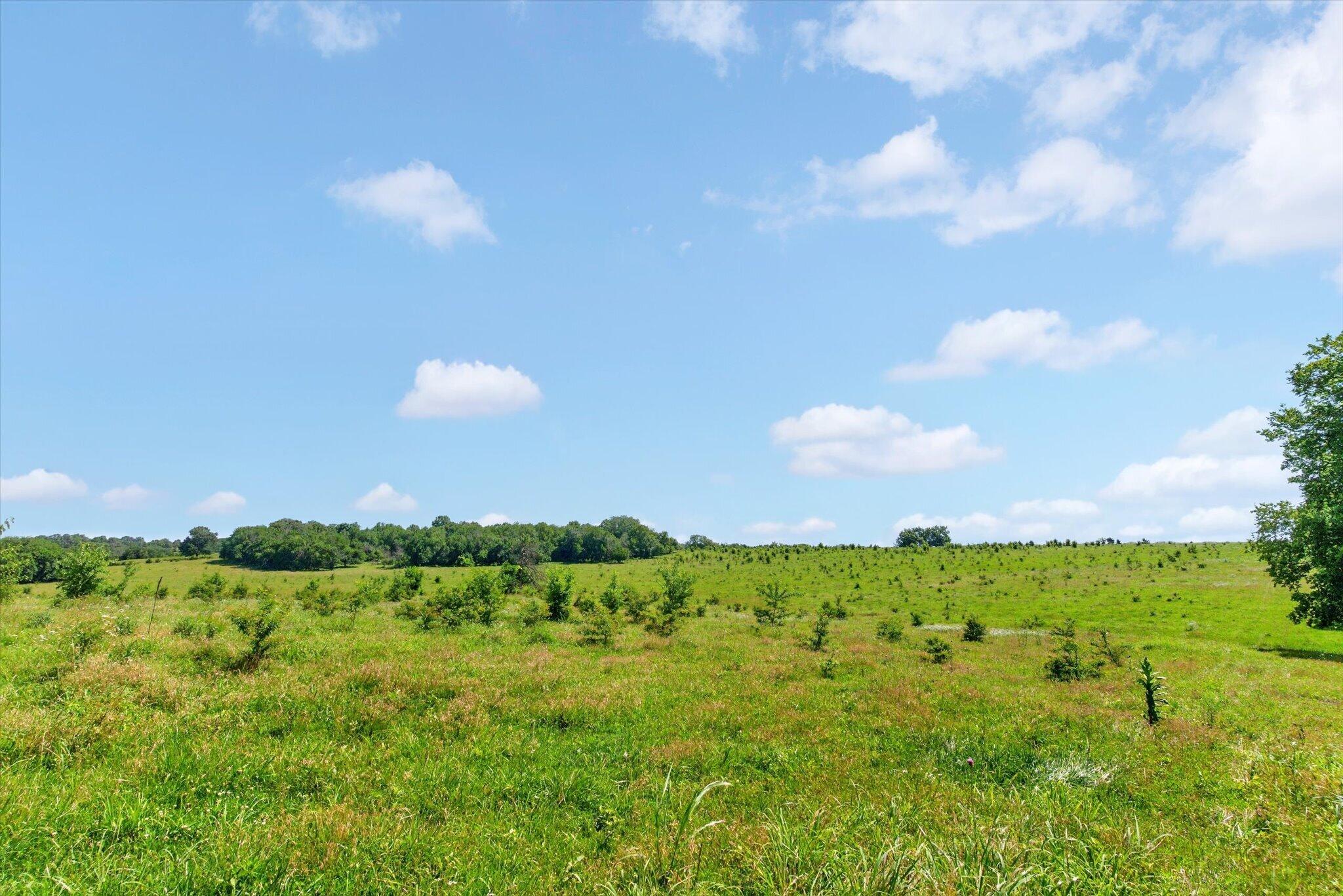 Photo 55 - Farm for sale – 13025 E Highway 32   Stockton, MO