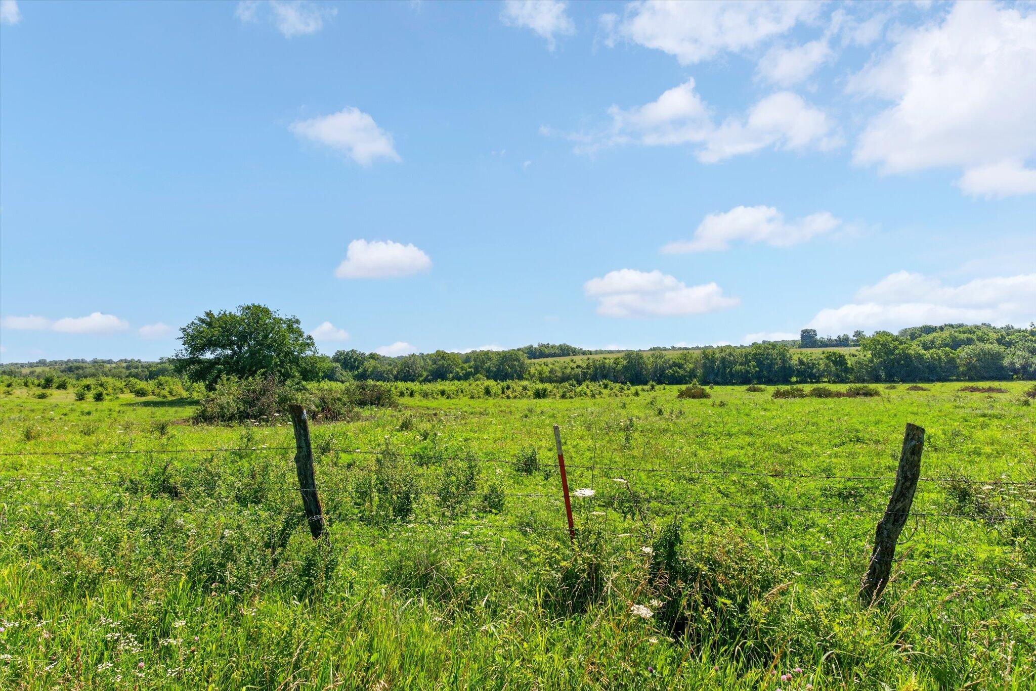 Photo 49 - Farm for sale – 13025 E Highway 32   Stockton, MO