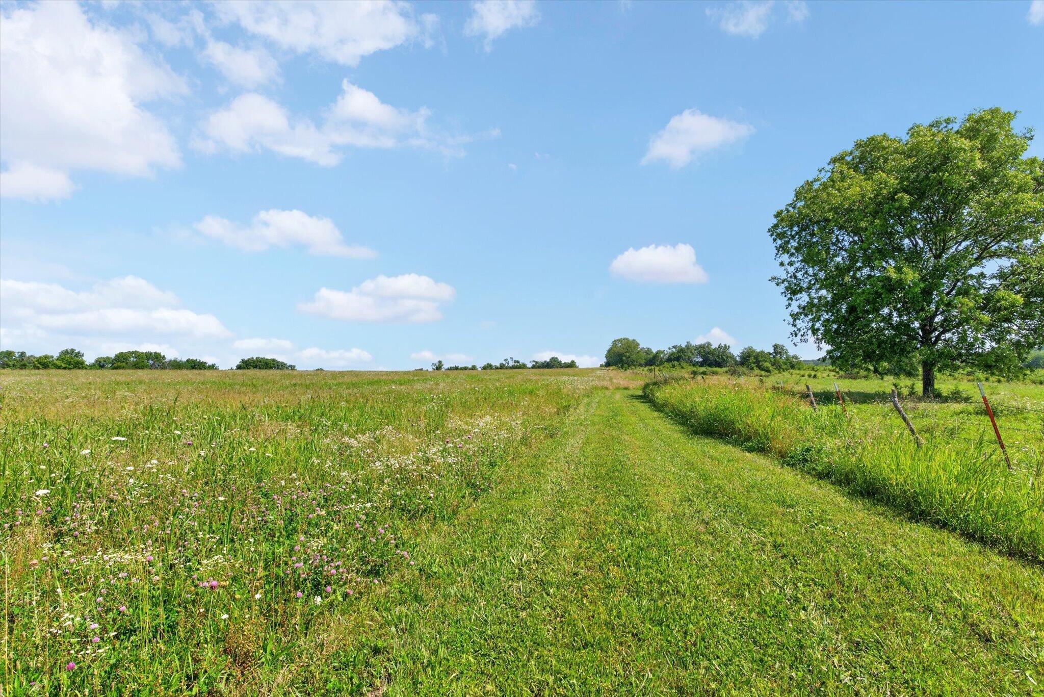 Photo 47 - Farm for sale – 13025 E Highway 32   Stockton, MO