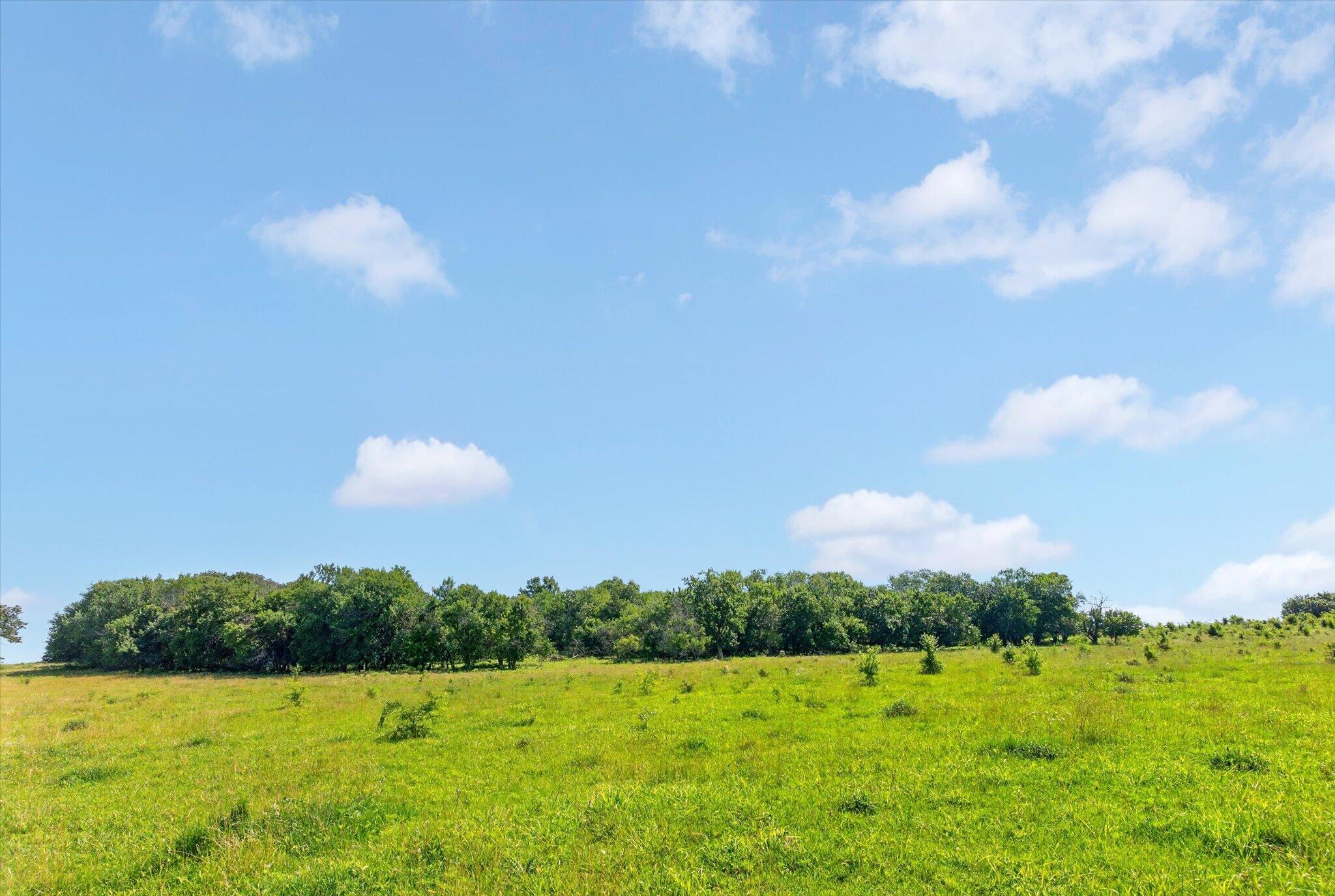 Photo 53 - Farm for sale – 13025 E Highway 32   Stockton, MO