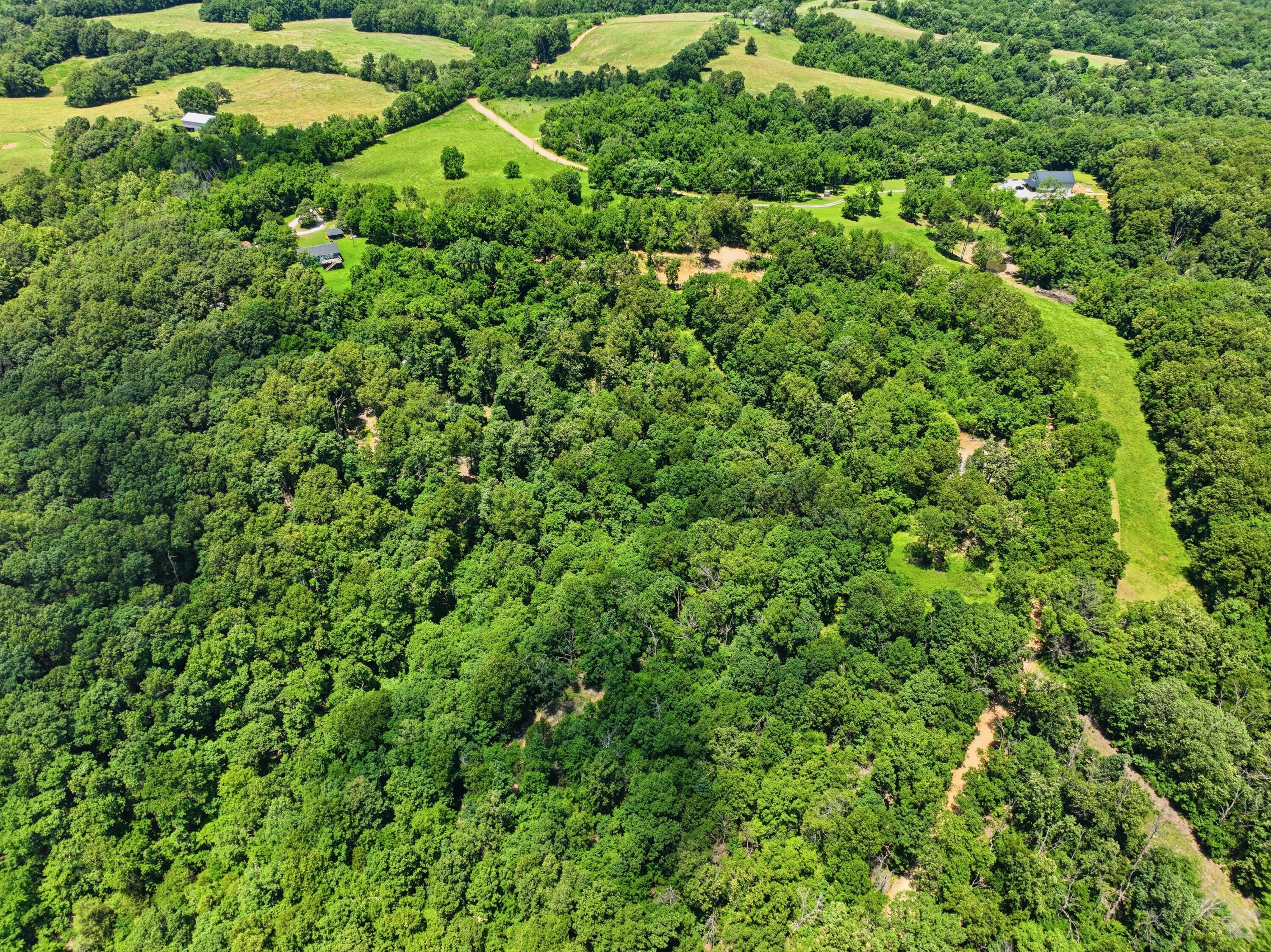 Photo 9 - Land for sale – 989  Schlessman Road  Anderson, MO