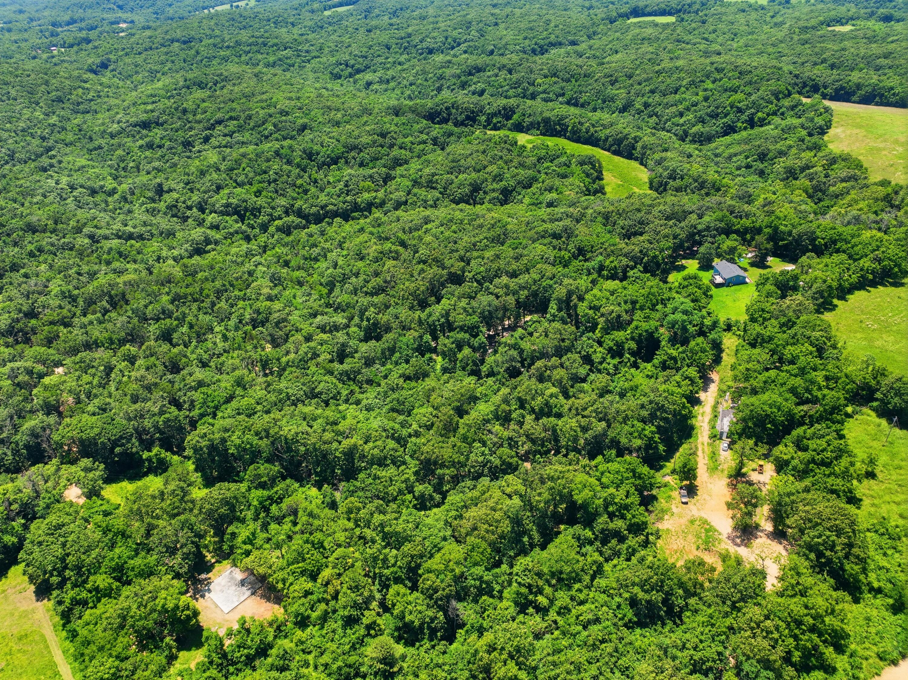 Photo 4 - Land for sale – 989  Schlessman Road  Anderson, MO