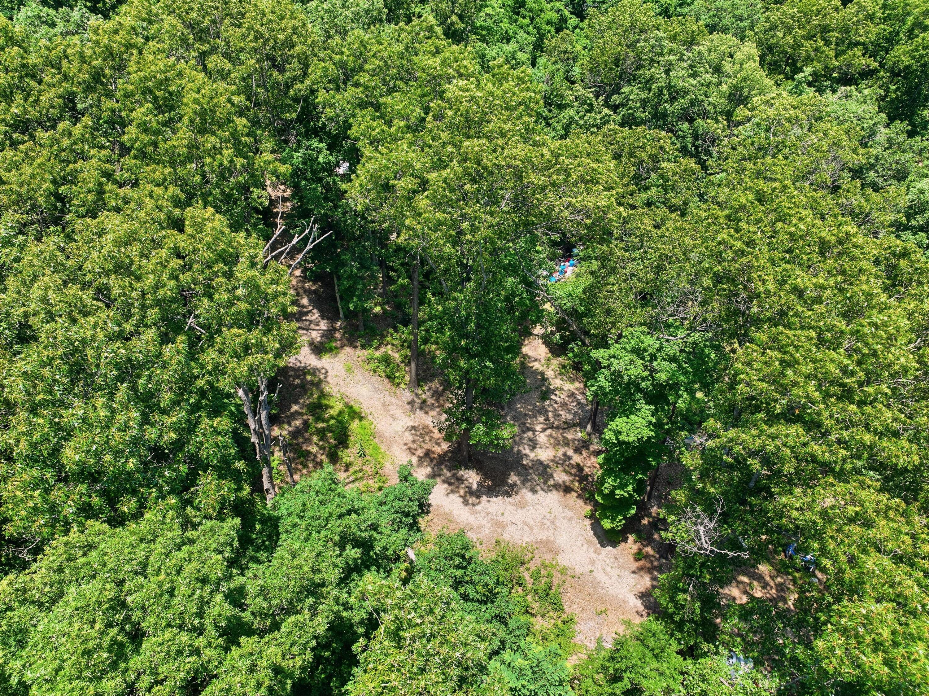Photo 11 - Land for sale – 989  Schlessman Road  Anderson, MO