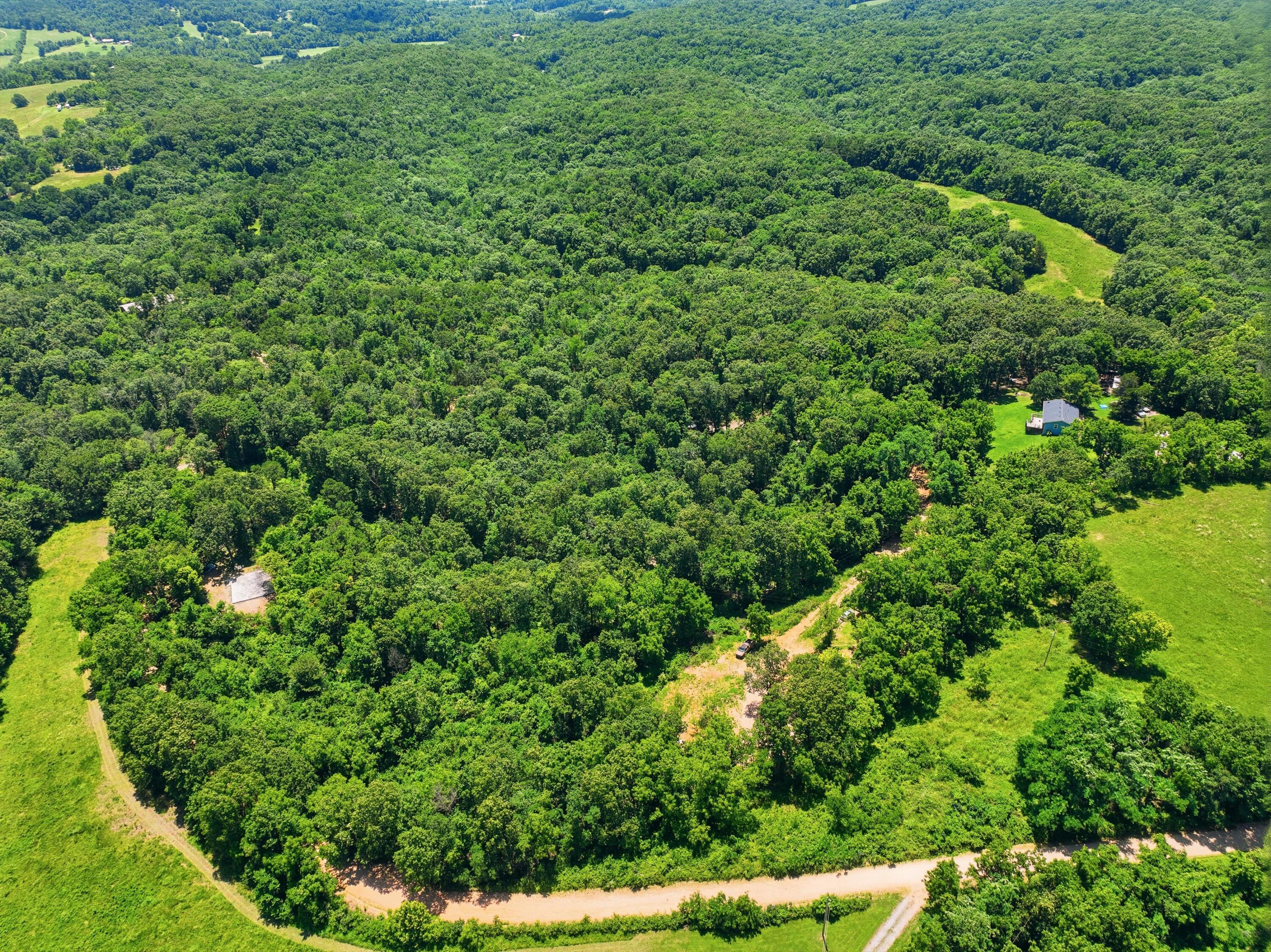 Photo 3 - Land for sale – 989  Schlessman Road  Anderson, MO