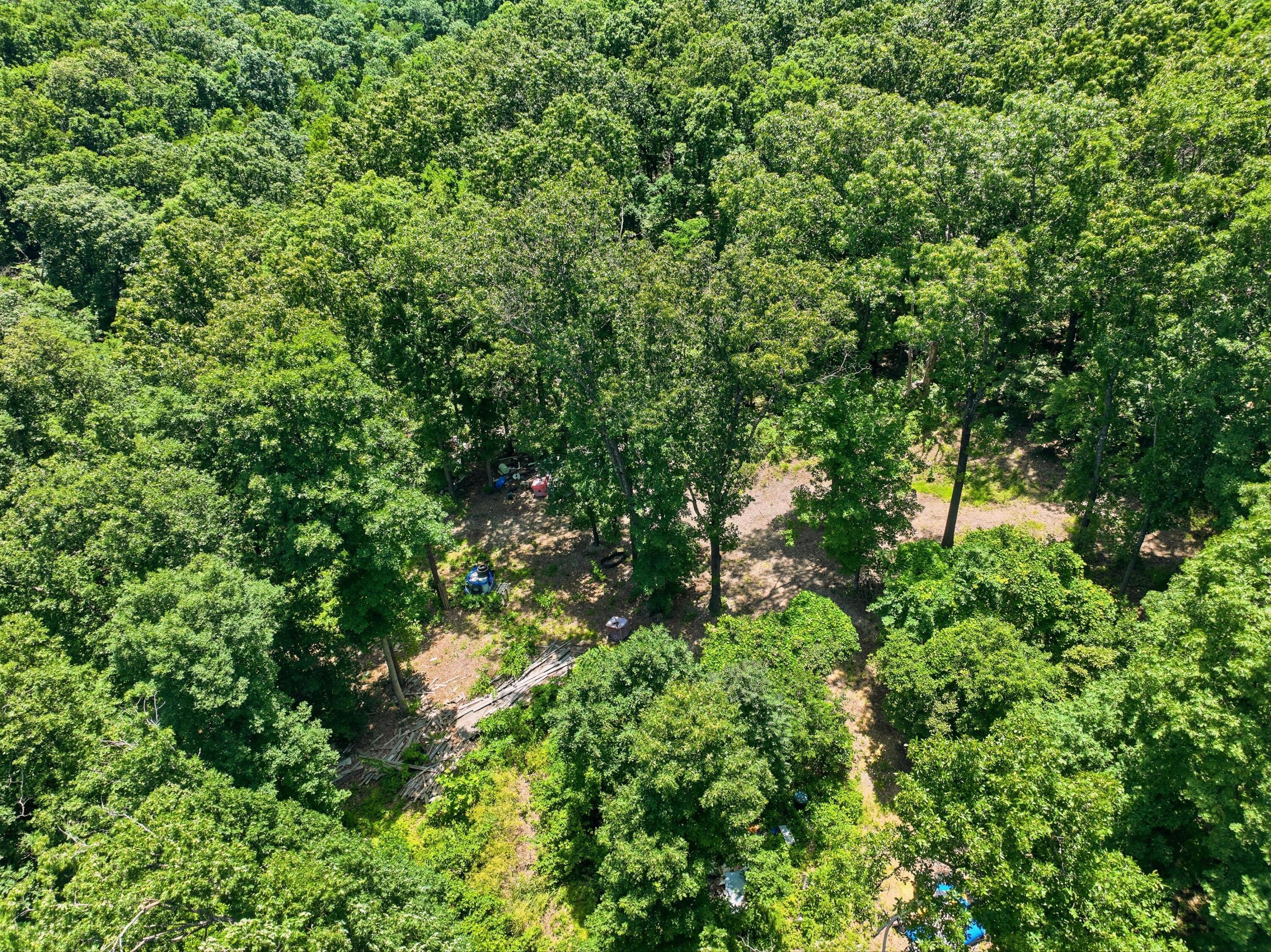 Photo 10 - Land for sale – 989  Schlessman Road  Anderson, MO