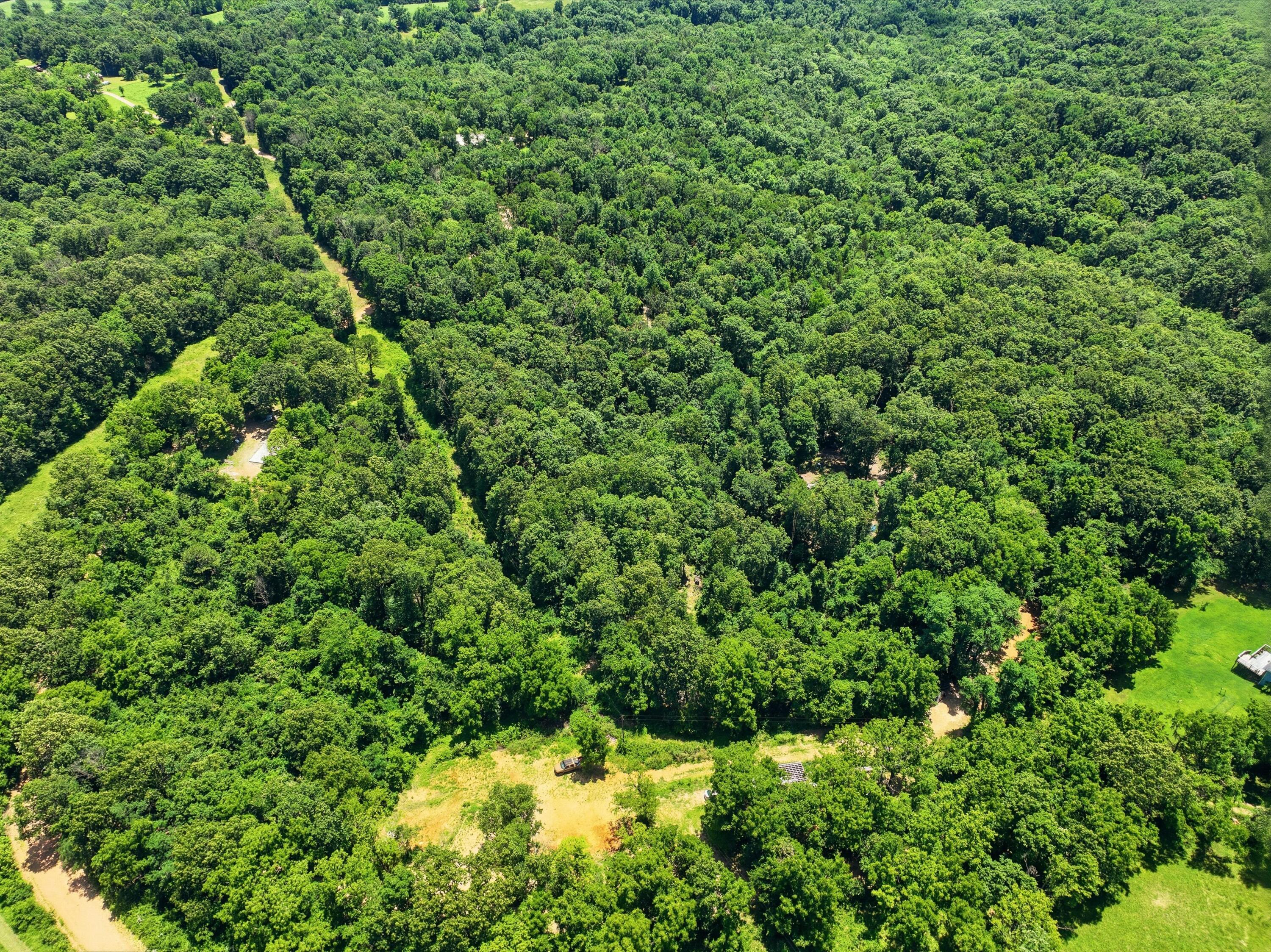 Photo 5 - Land for sale – 989  Schlessman Road  Anderson, MO