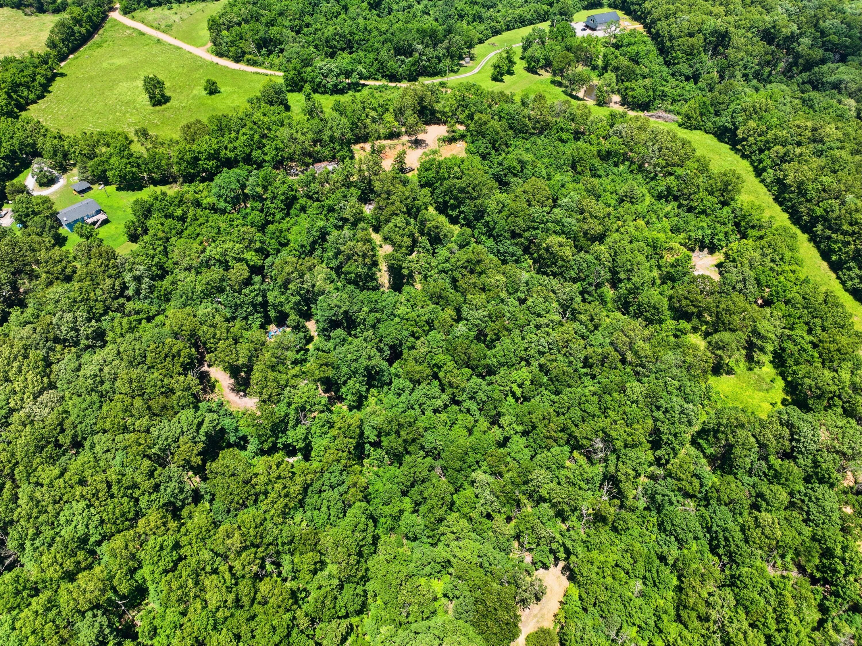 Photo 7 - Land for sale – 989  Schlessman Road  Anderson, MO