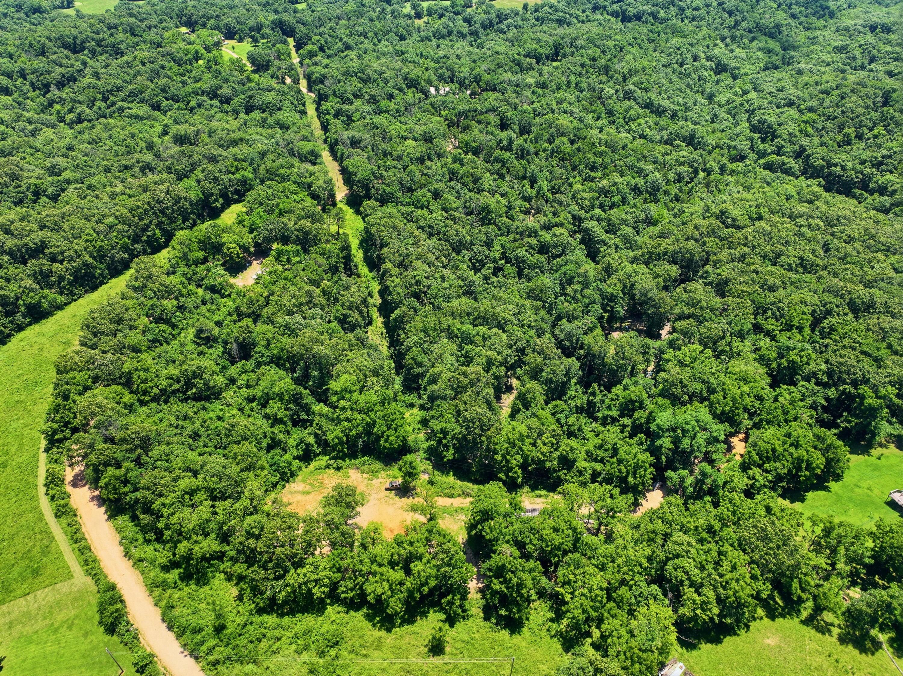 Photo 6 - Land for sale – 989  Schlessman Road  Anderson, MO