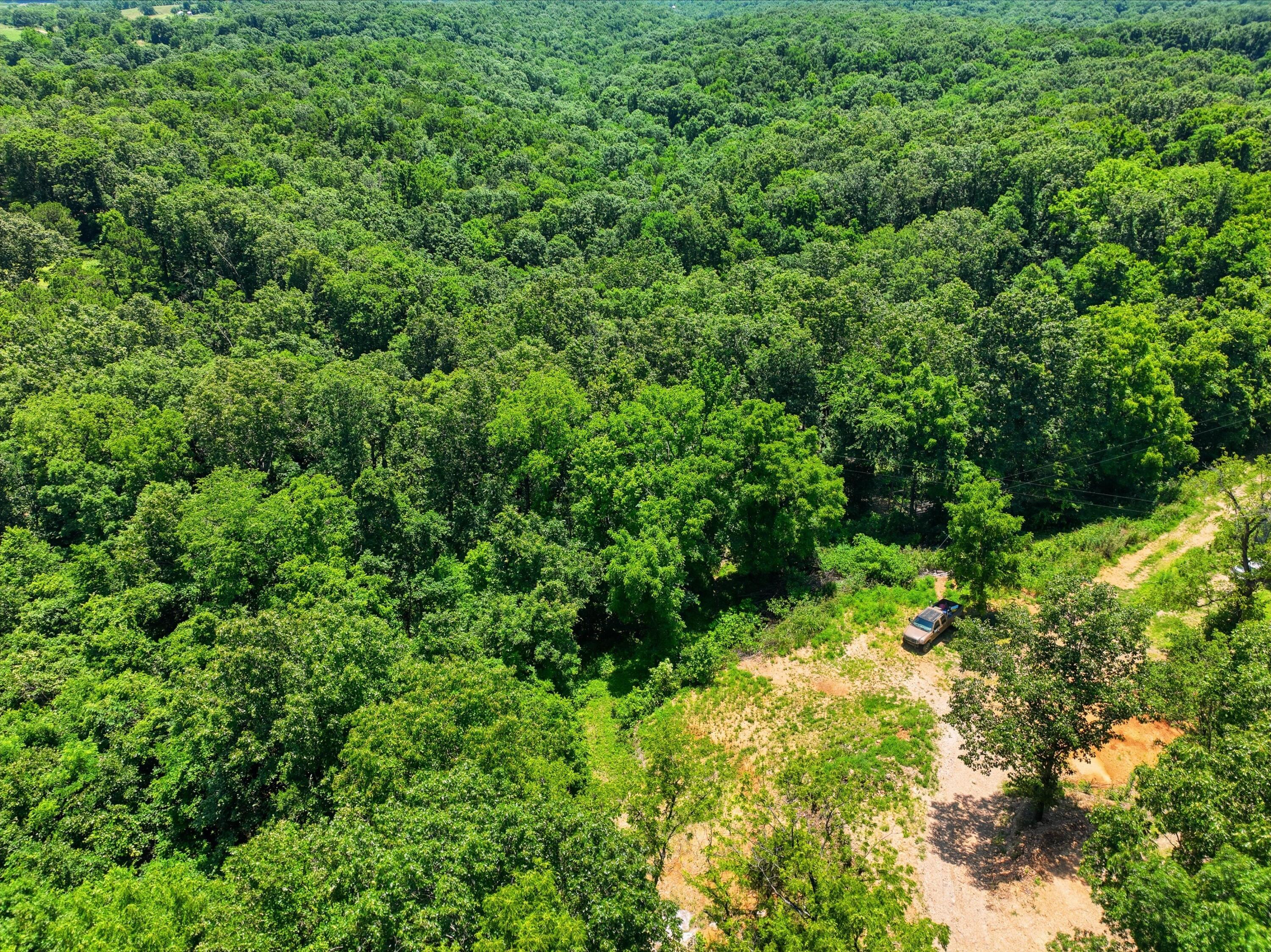 Photo 13 - Land for sale – 989  Schlessman Road  Anderson, MO