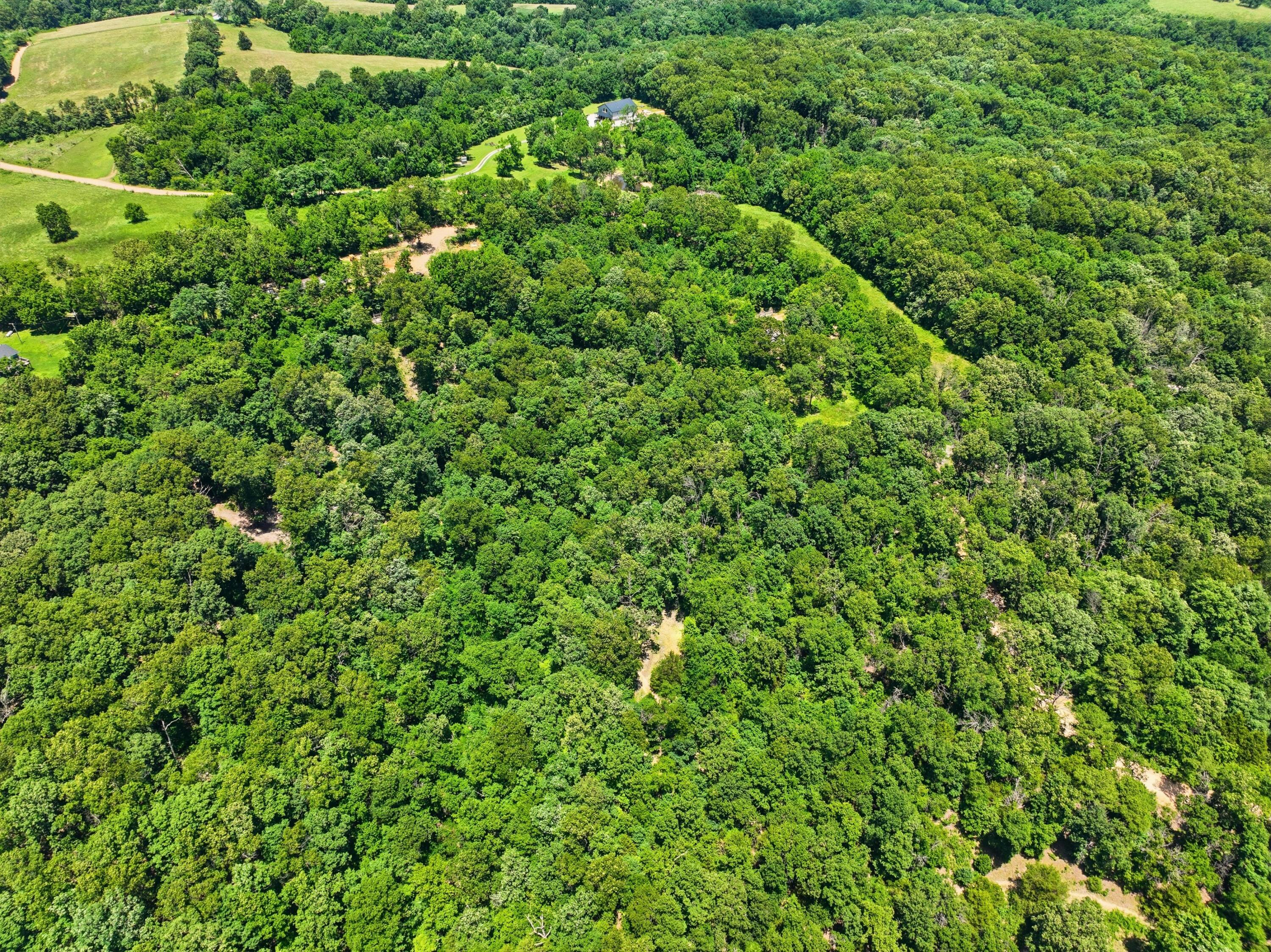 Photo 8 - Land for sale – 989  Schlessman Road  Anderson, MO