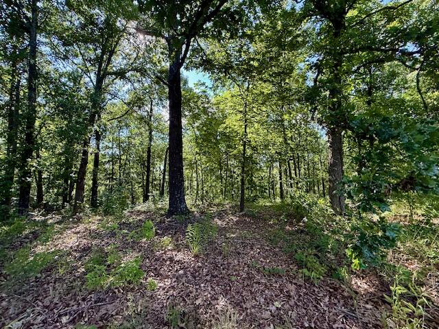 Photo 39 - Residential for sale – 1786  County Road 6220   West Plains, MO