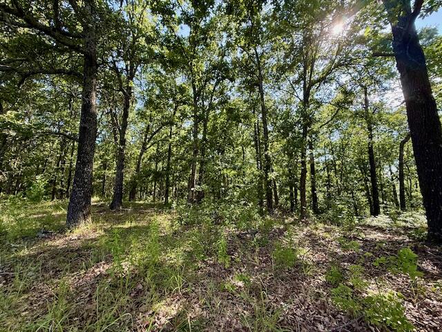 Photo 40 - Residential for sale – 1786  County Road 6220   West Plains, MO