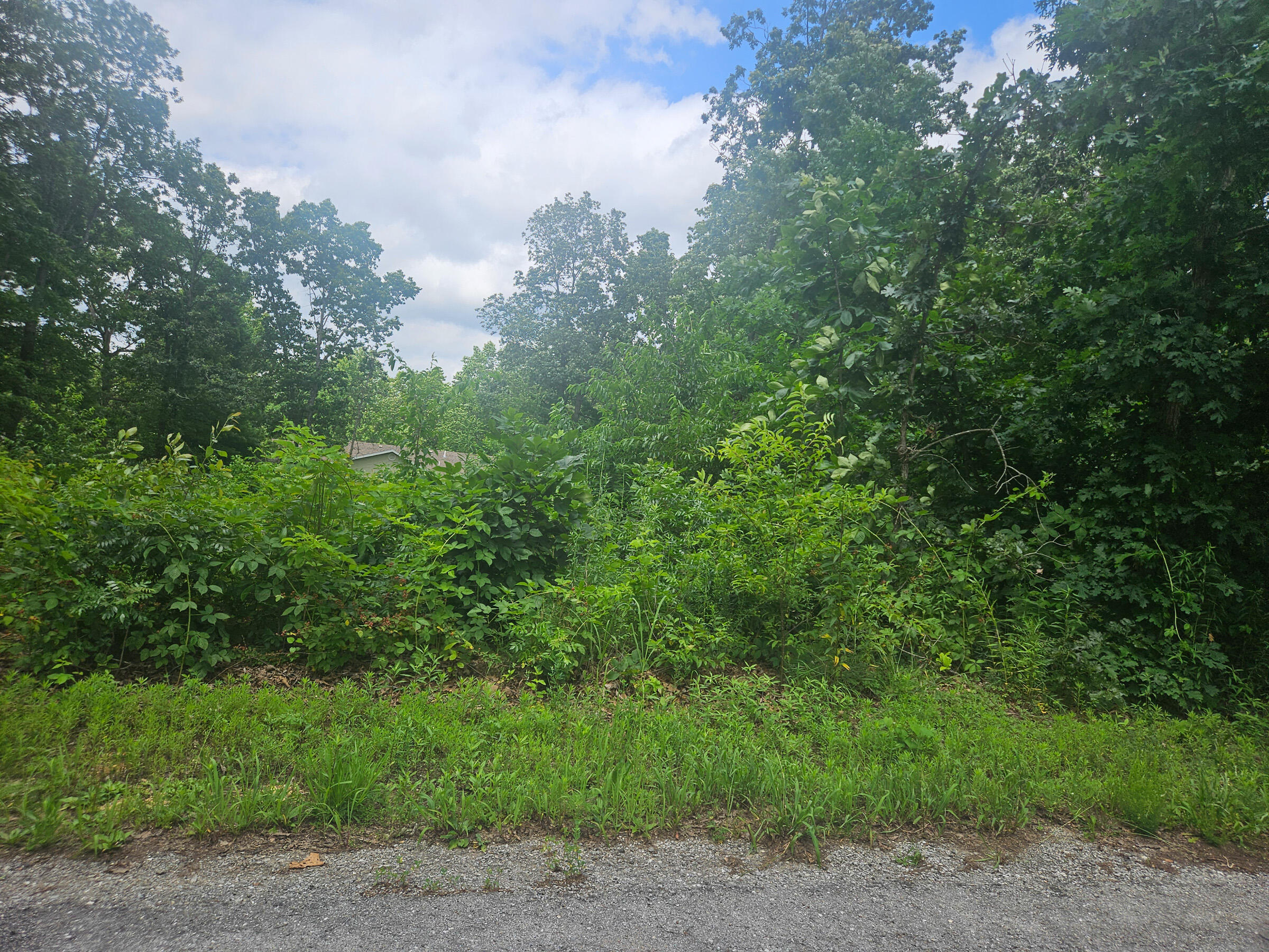Photo 4 - Land for sale – 000  Woodruff Street  Mountain View, MO