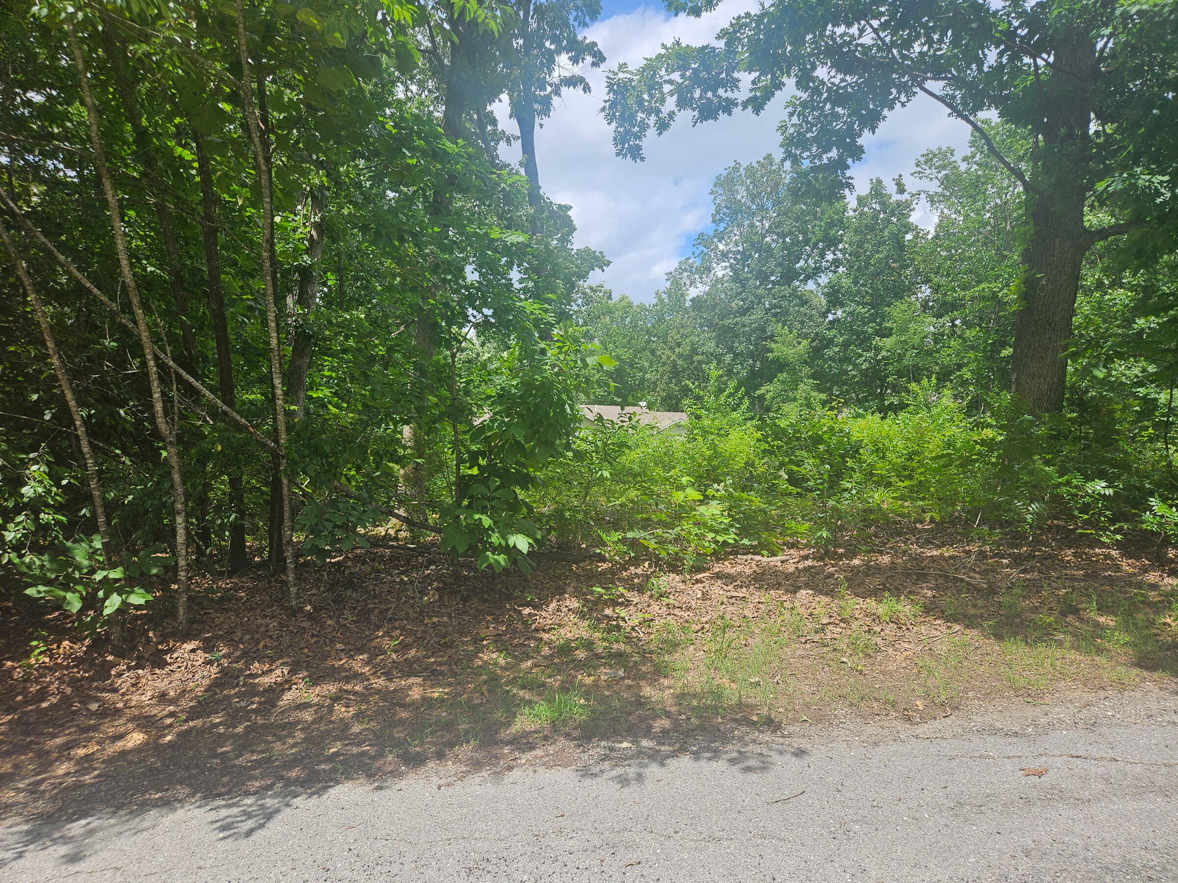 Photo 3 - Land for sale – 000  Woodruff Street  Mountain View, MO