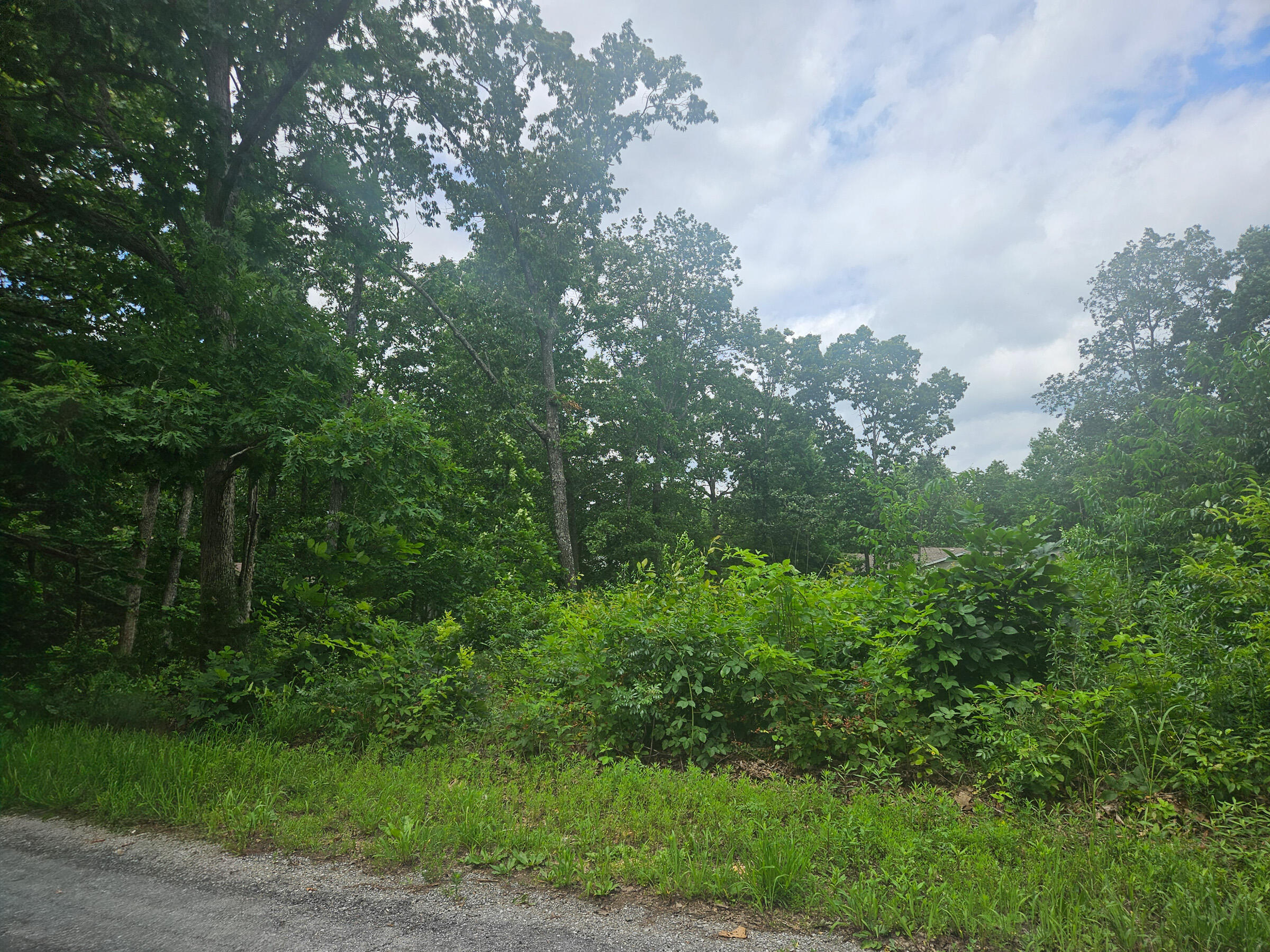 Photo 2 - Land for sale – 000  Woodruff Street  Mountain View, MO